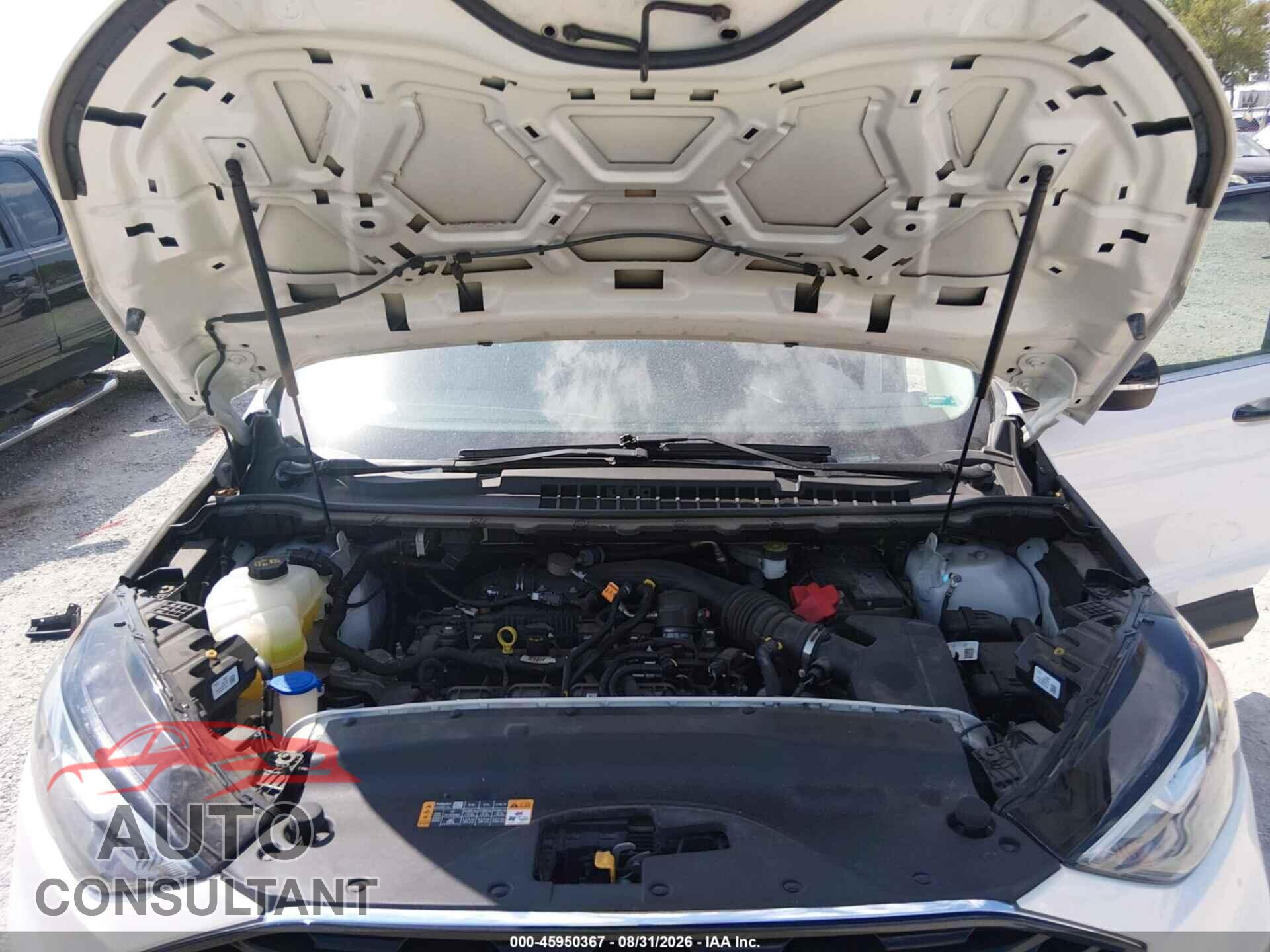 FORD EDGE 2019 - 2FMPK4K91KBC47892