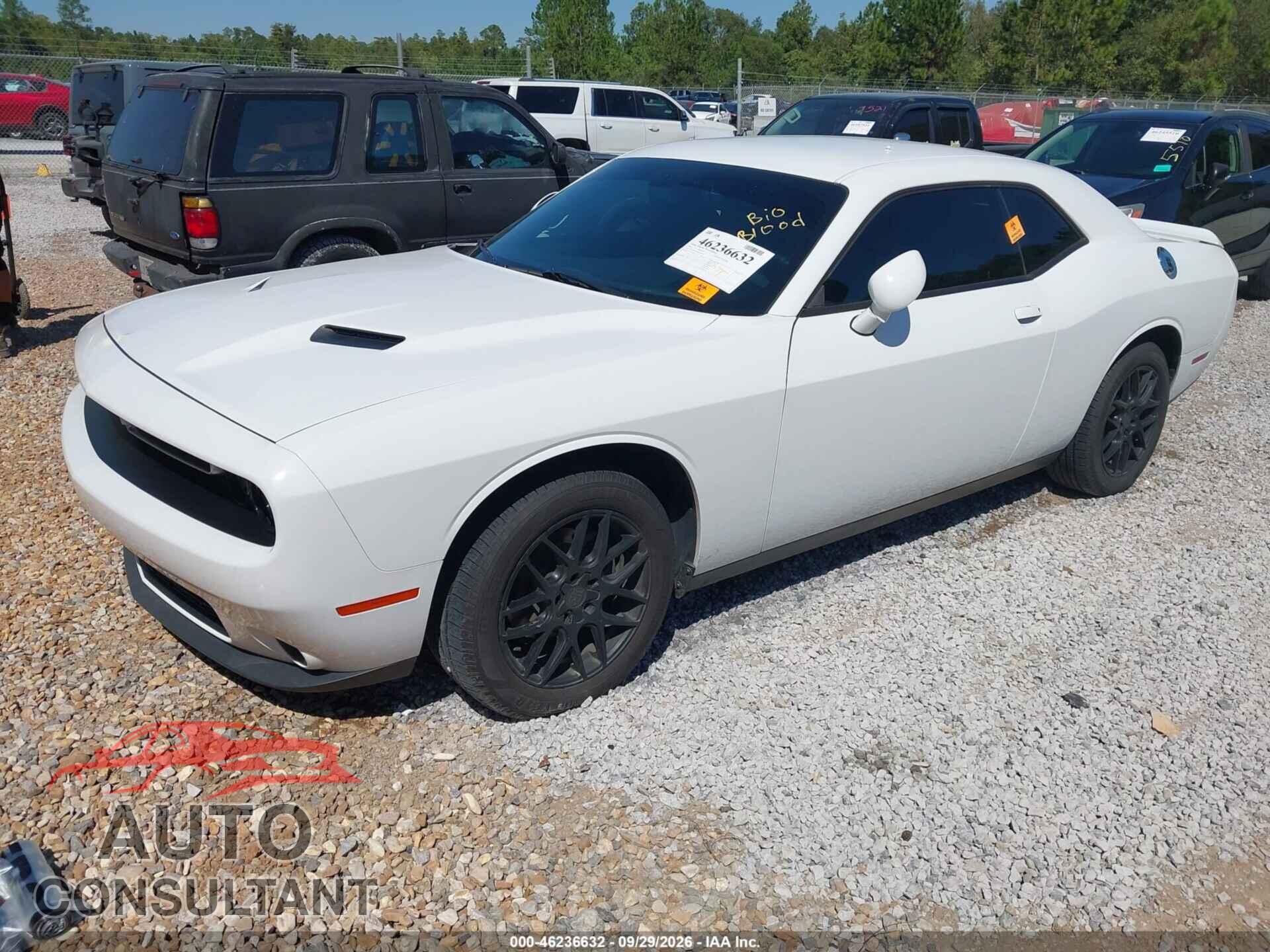 DODGE CHALLENGER 2019 - 2C3CDZAG9KH524445