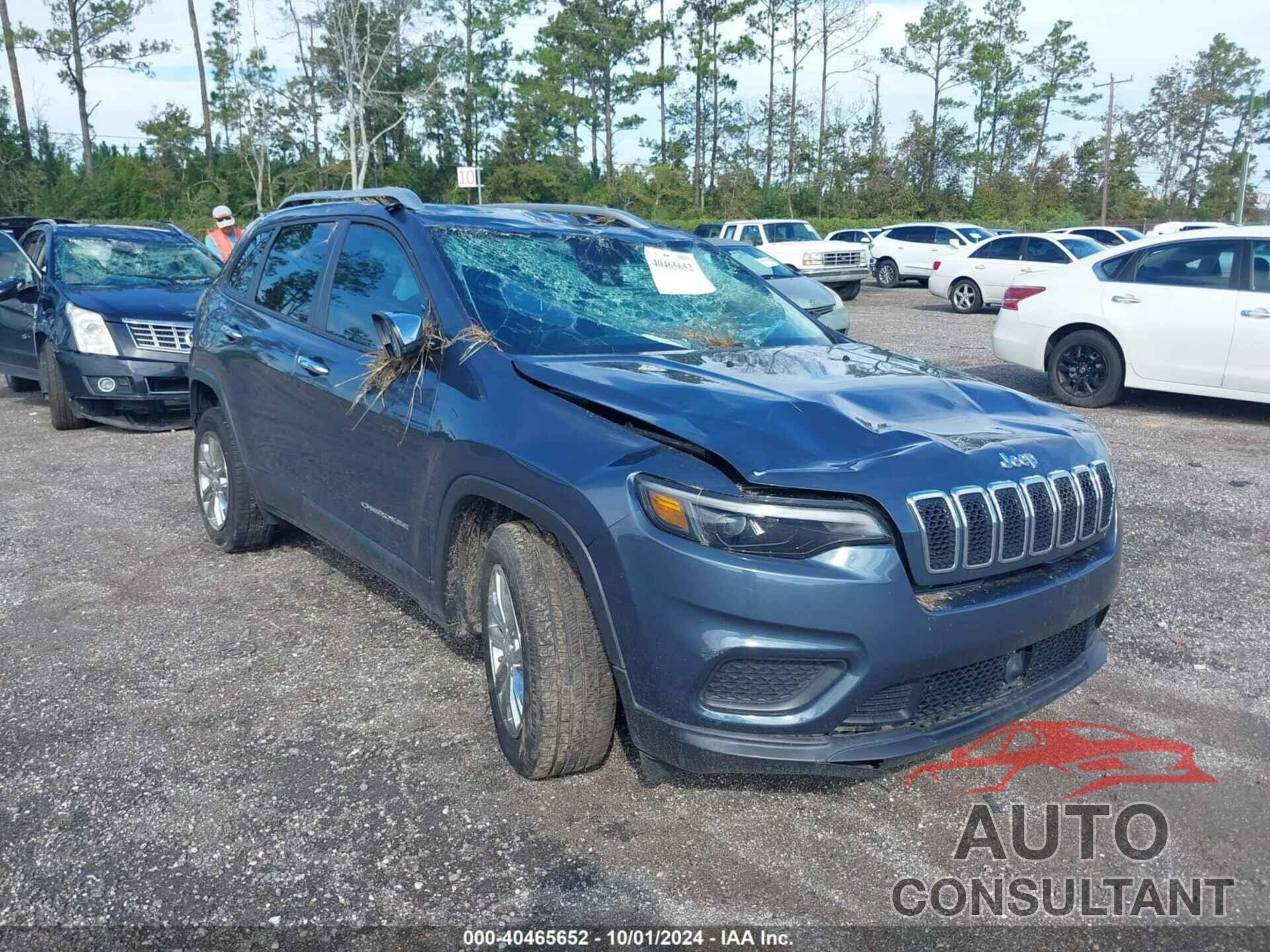 JEEP CHEROKEE 2021 - 1C4PJLCB2MD155156