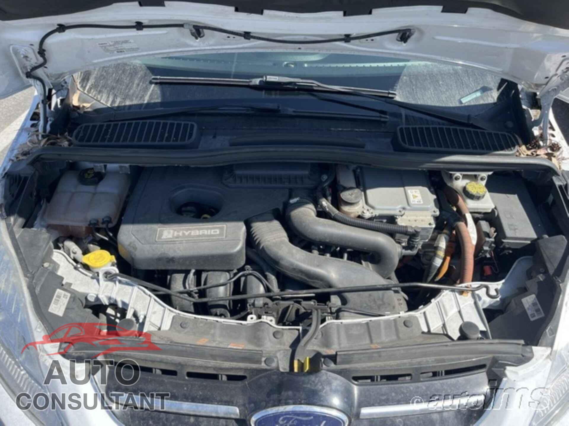 FORD C-MAX 2017 - 1FADP5AU3HL117339