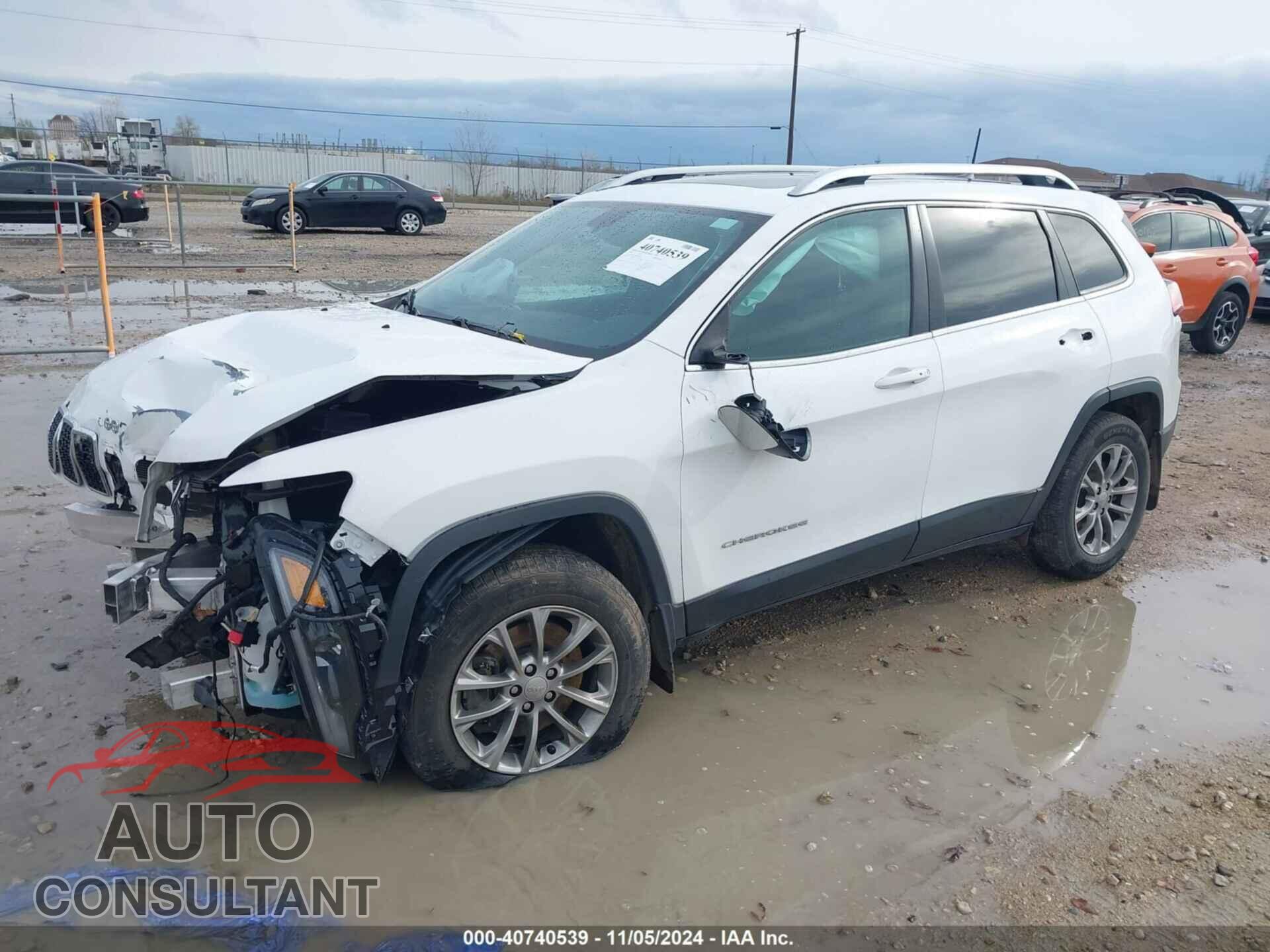 JEEP CHEROKEE 2019 - 1C4PJMLX9KD155265