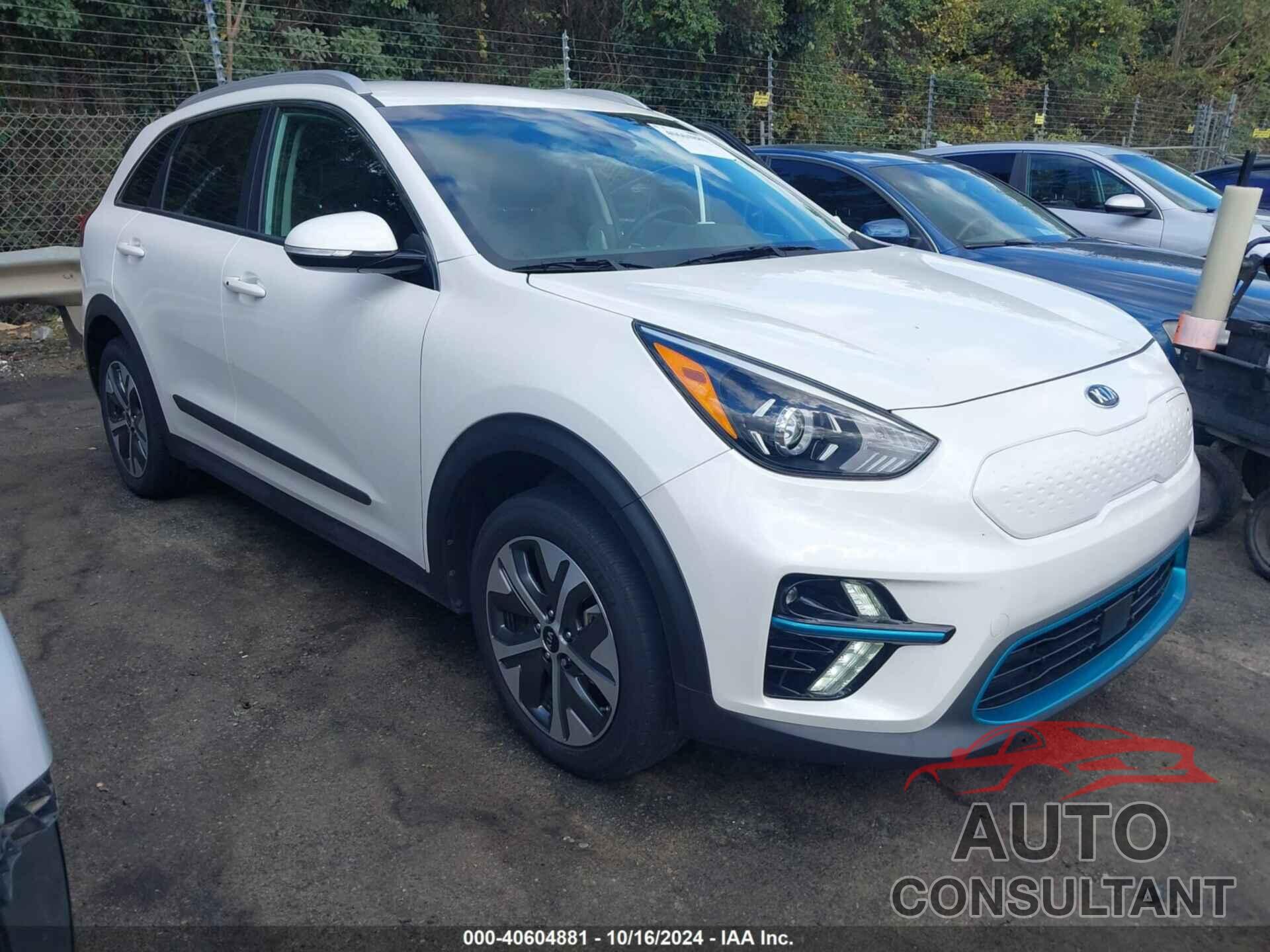 KIA NIRO EV 2020 - KNDCC3LG9L5065273