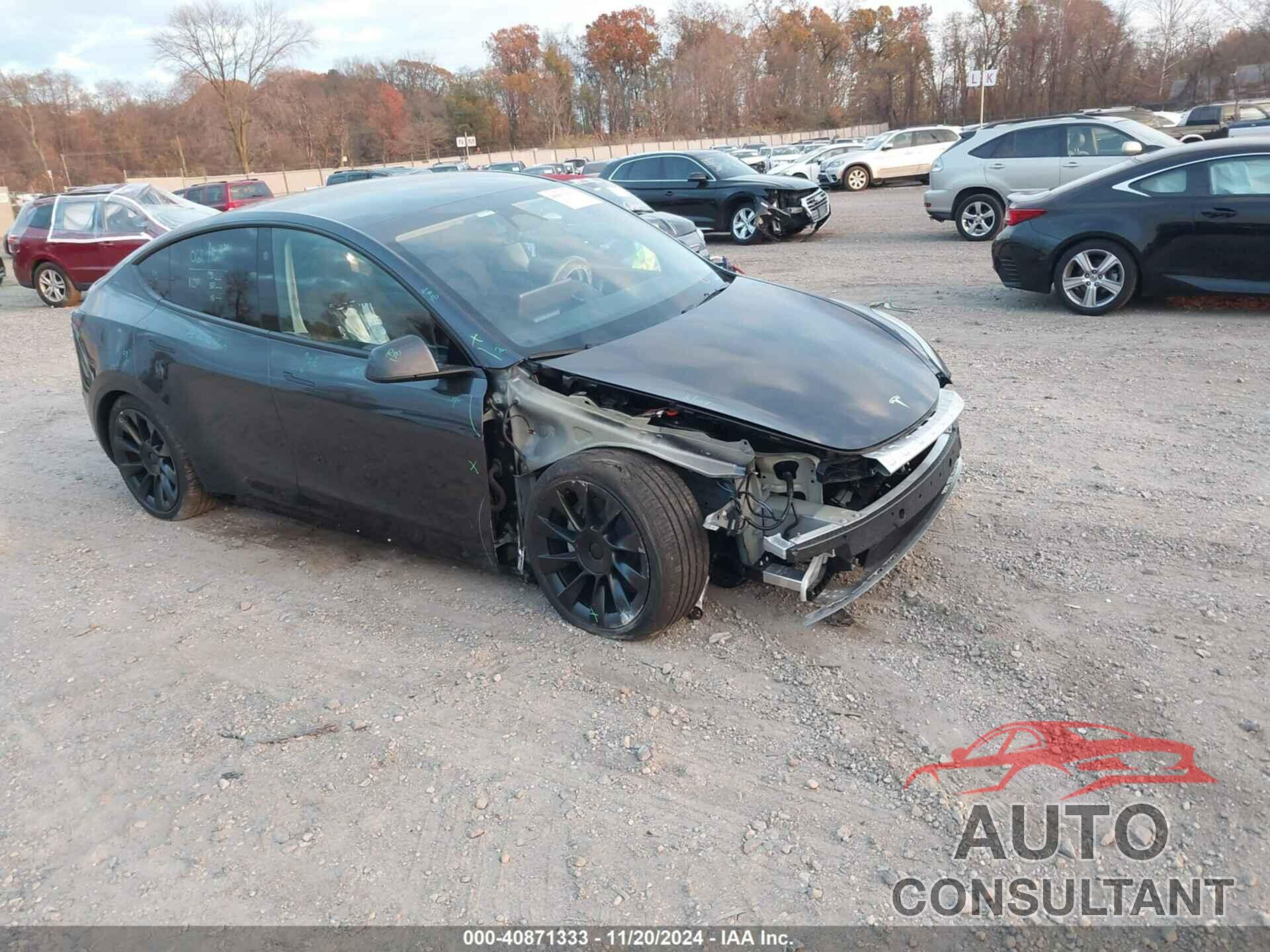 TESLA MODEL Y 2024 - 7SAYGDED3RF160506