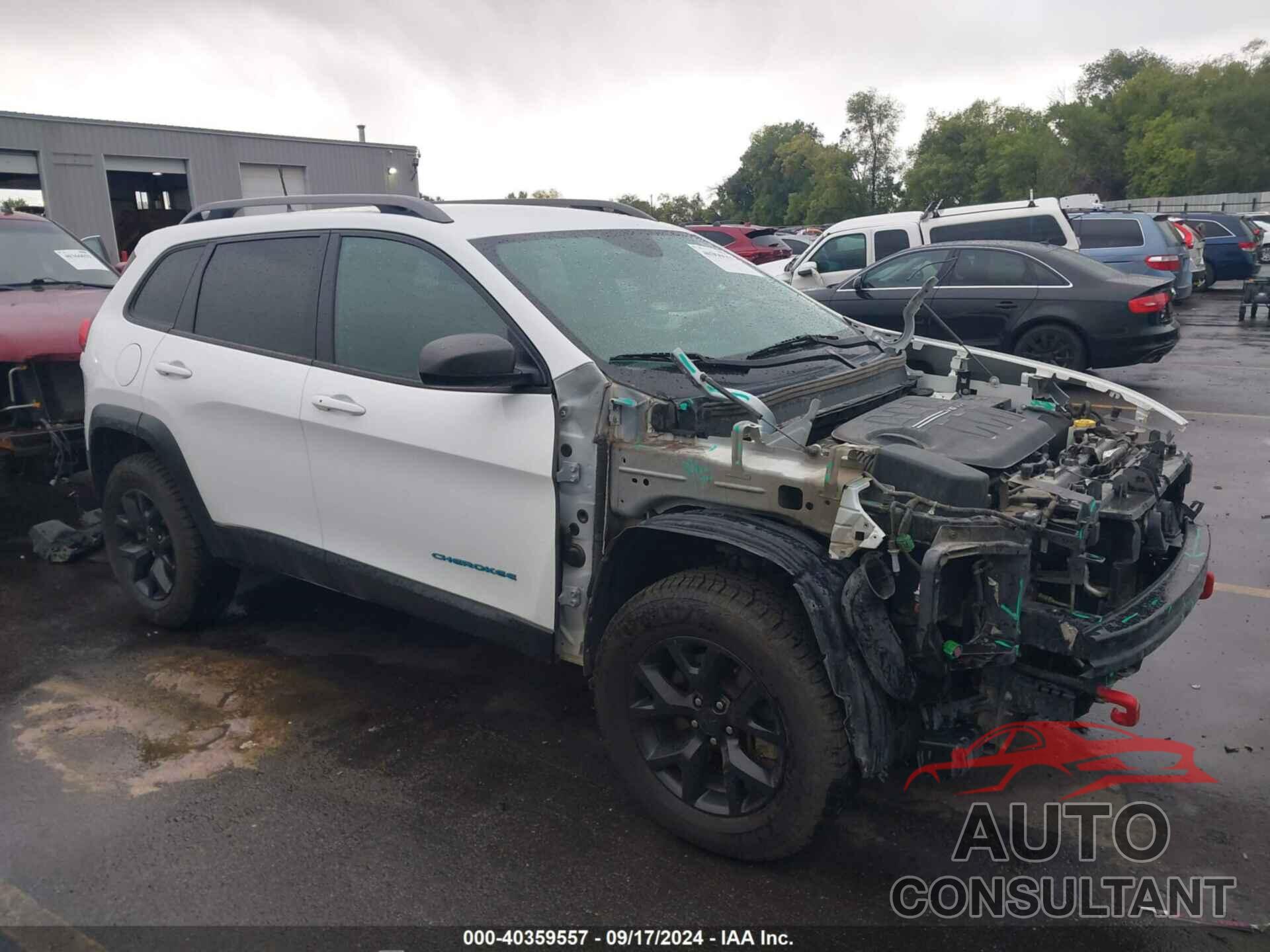 JEEP CHEROKEE 2016 - 1C4PJMBSXGW360451