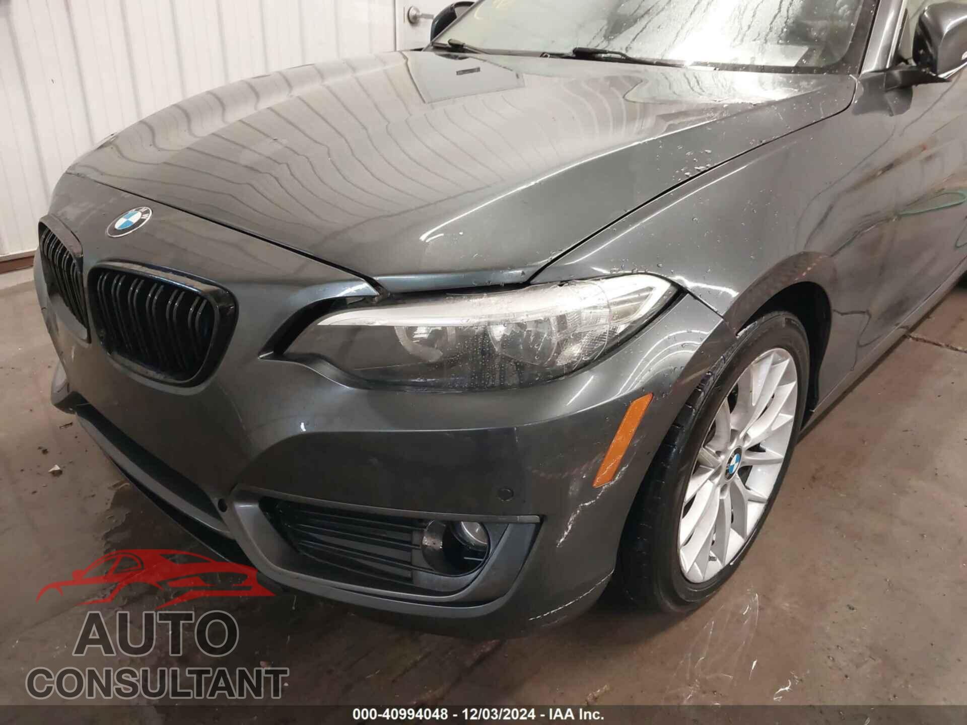 BMW 228I 2015 - WBA1F5C54FV257520