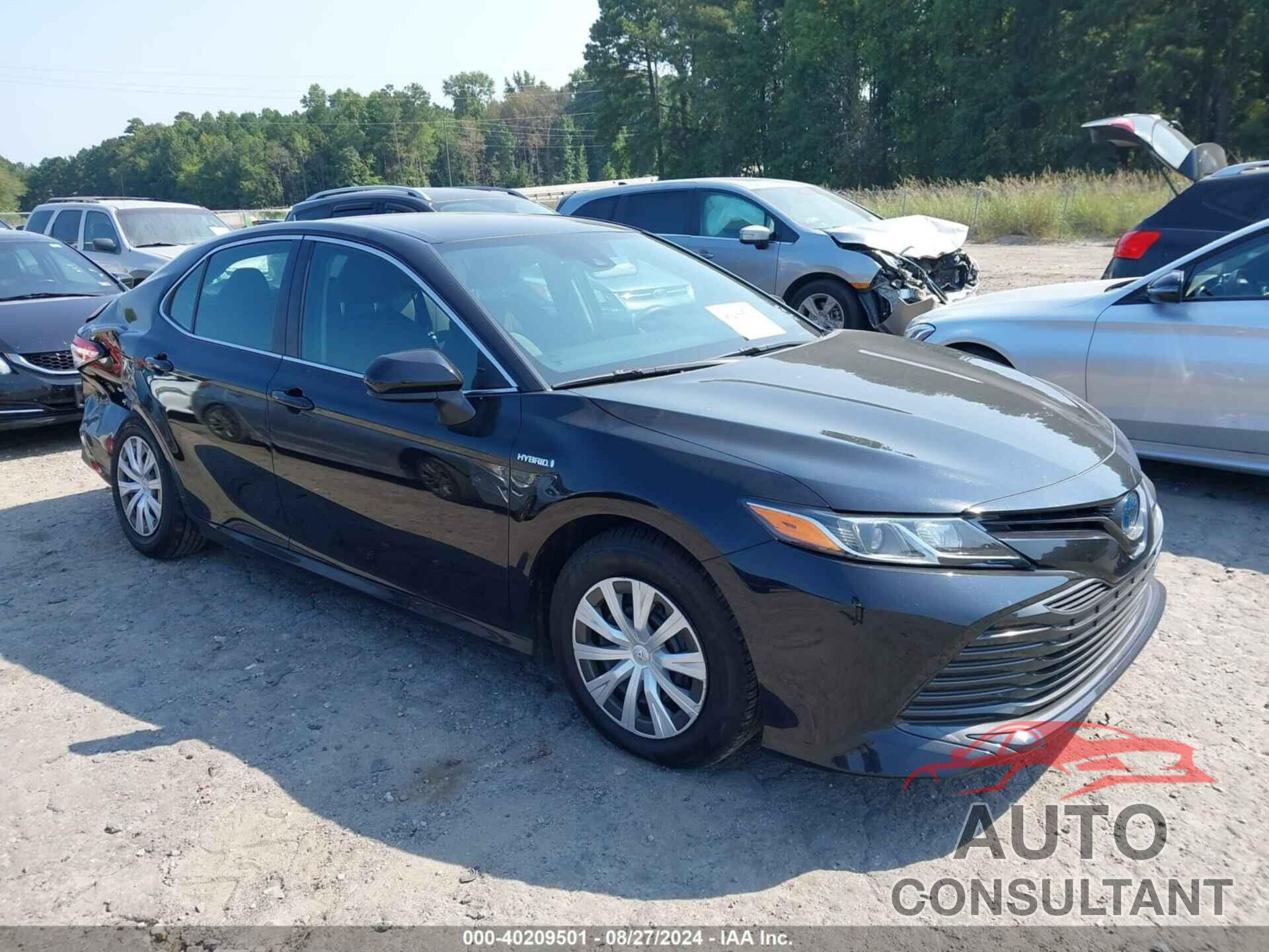 TOYOTA CAMRY HYBRID 2019 - 4T1B31HK7KU007725