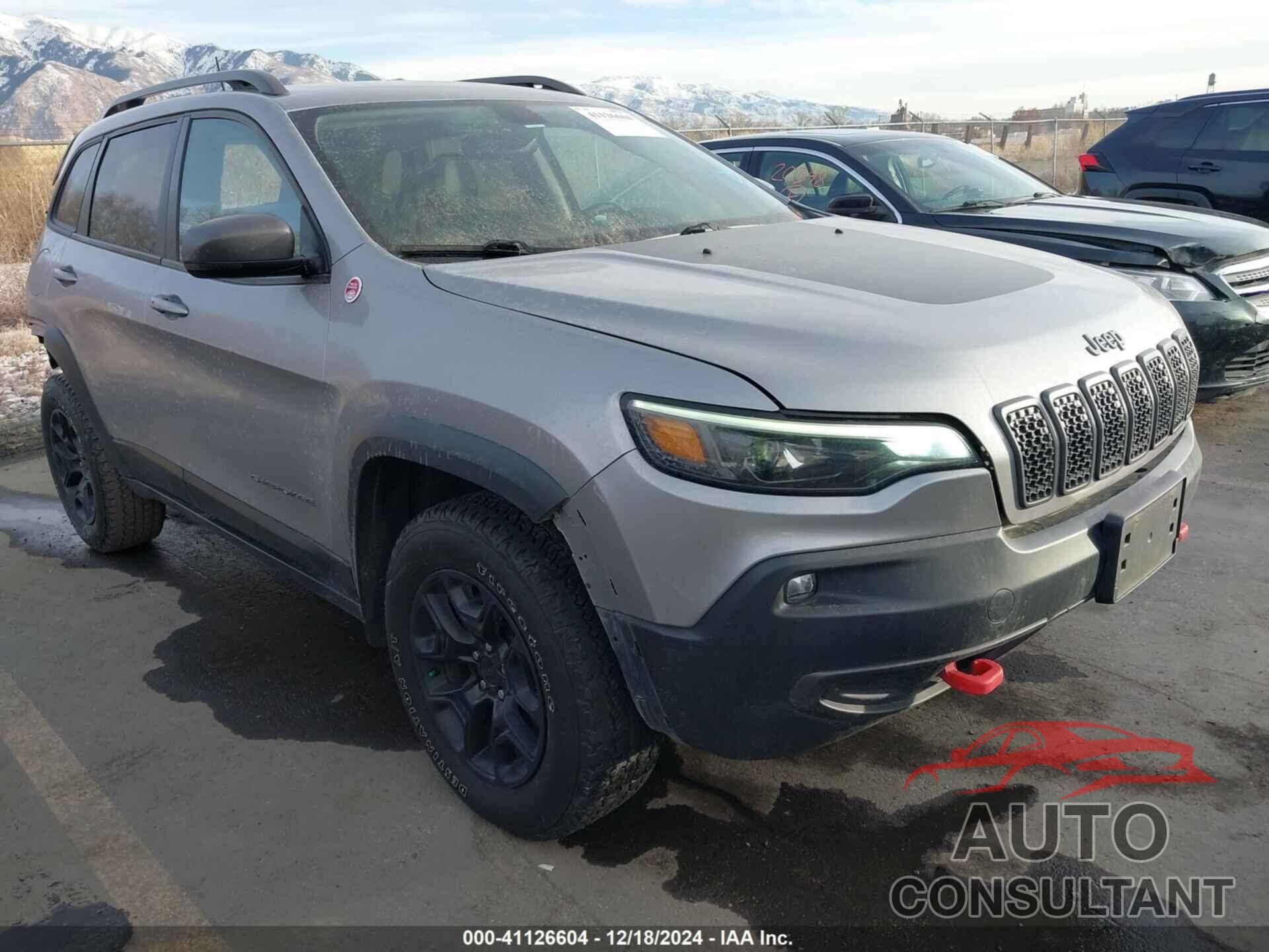 JEEP CHEROKEE 2020 - 1C4PJMBX7LD517967