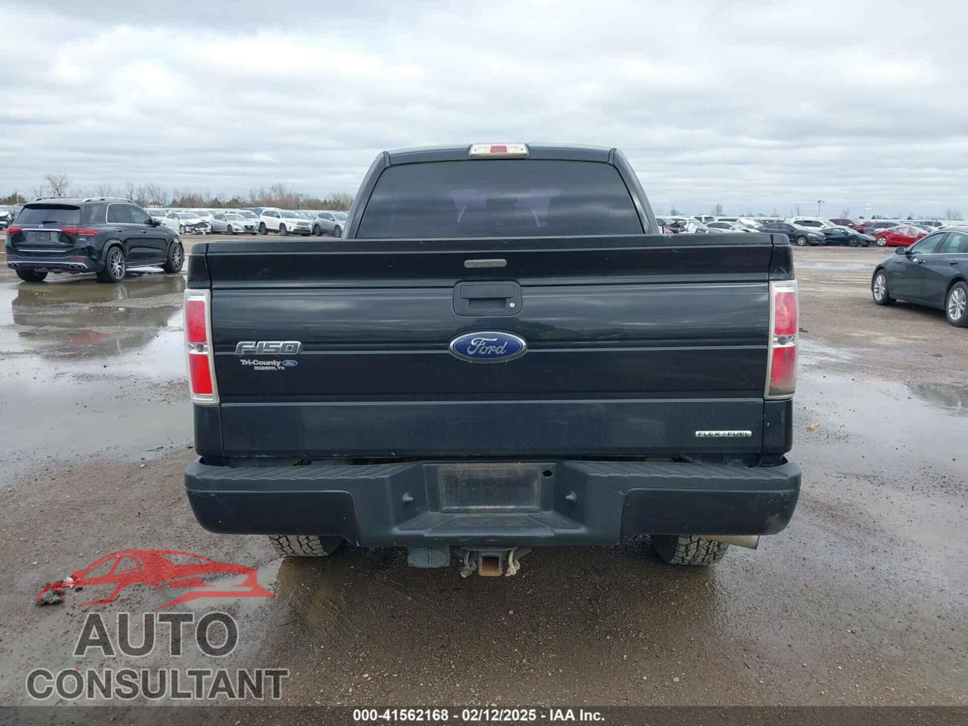 FORD F-150 2013 - 1FTFX1CF9DFD48104