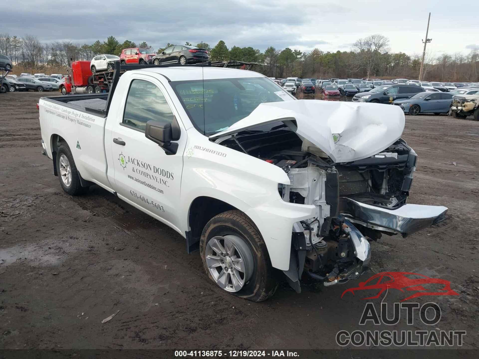 CHEVROLET SILVERADO 1500 2019 - 3GCNWAEF3KG289185