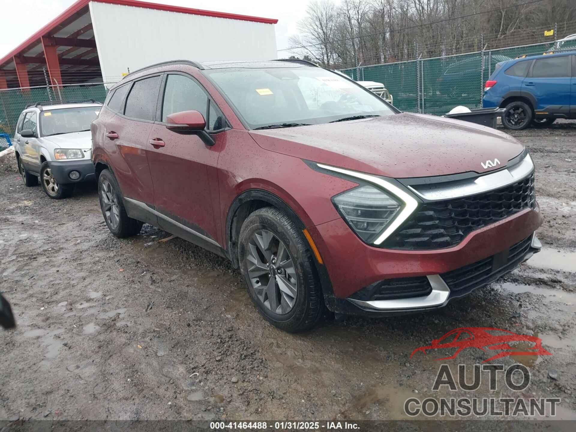 KIA SPORTAGE 2024 - 5XYK43DF7RG209966