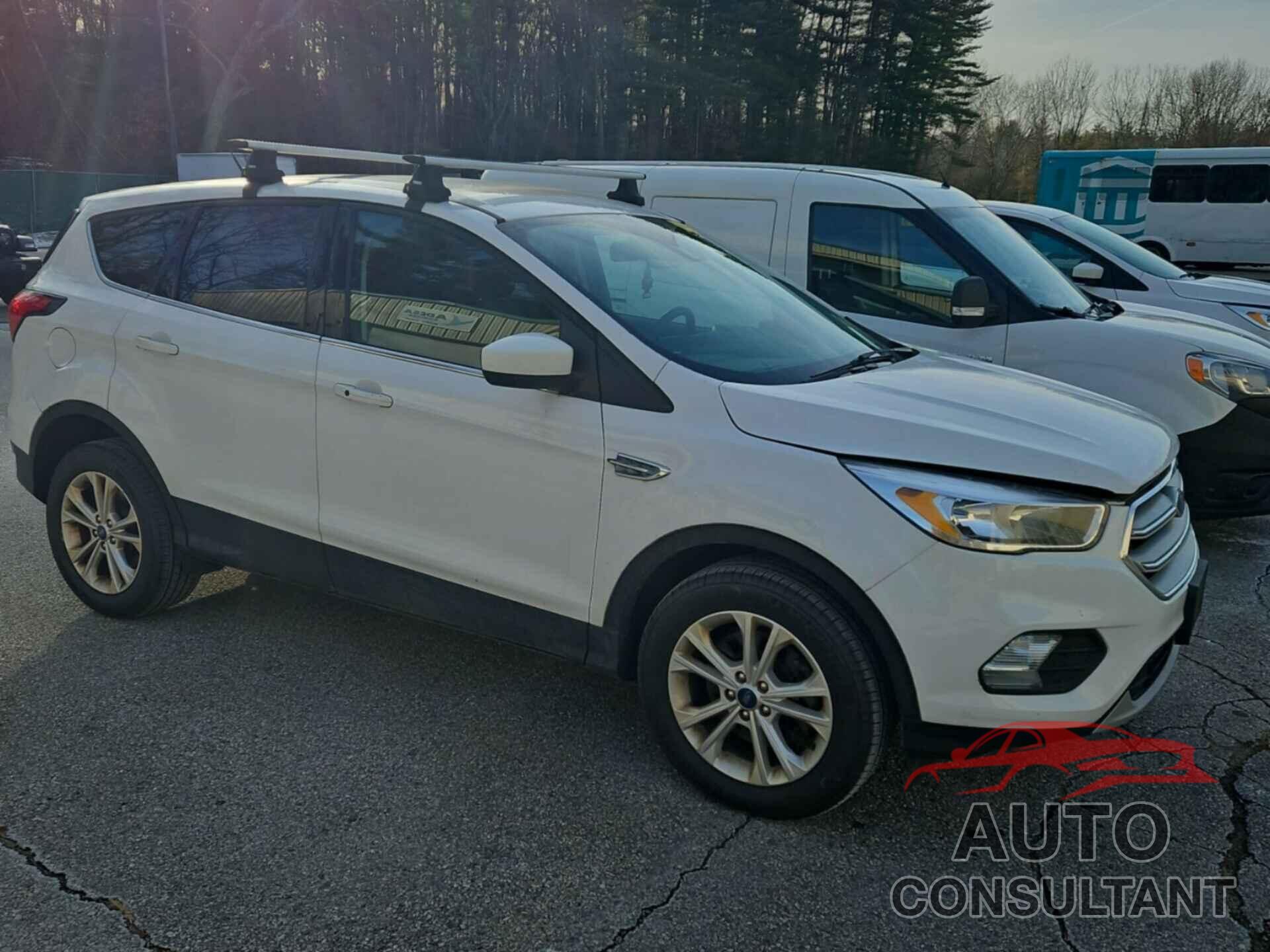 FORD ESCAPE 2019 - 1FMCU9GD4KUB33088