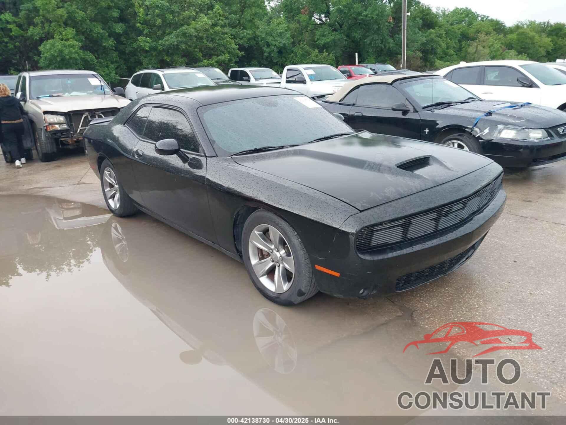 DODGE CHALLENGER 2019 - 2C3CDZBT6KH504293