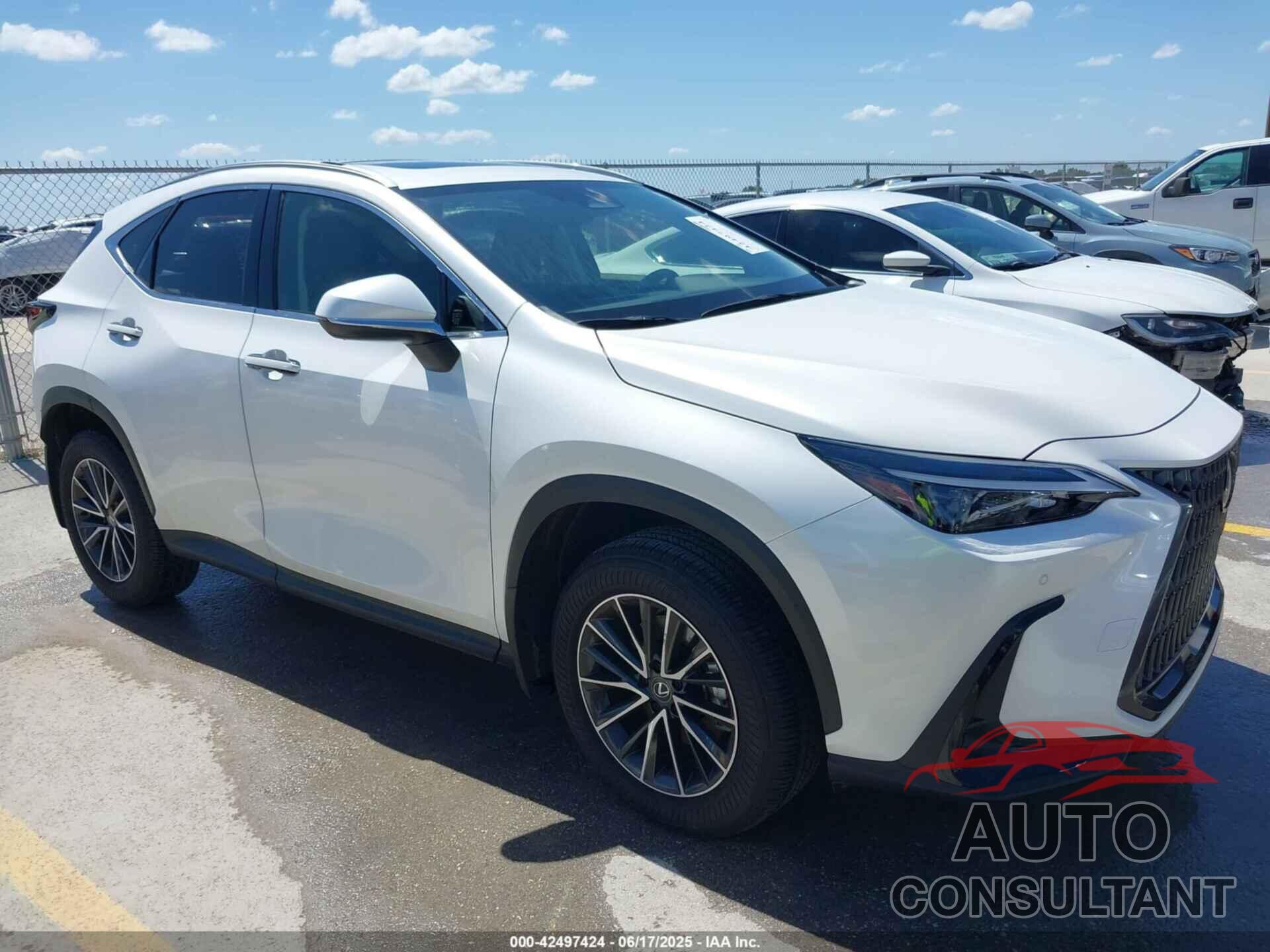LEXUS NX 250 2025 - JTJGDCAZ5S2015616