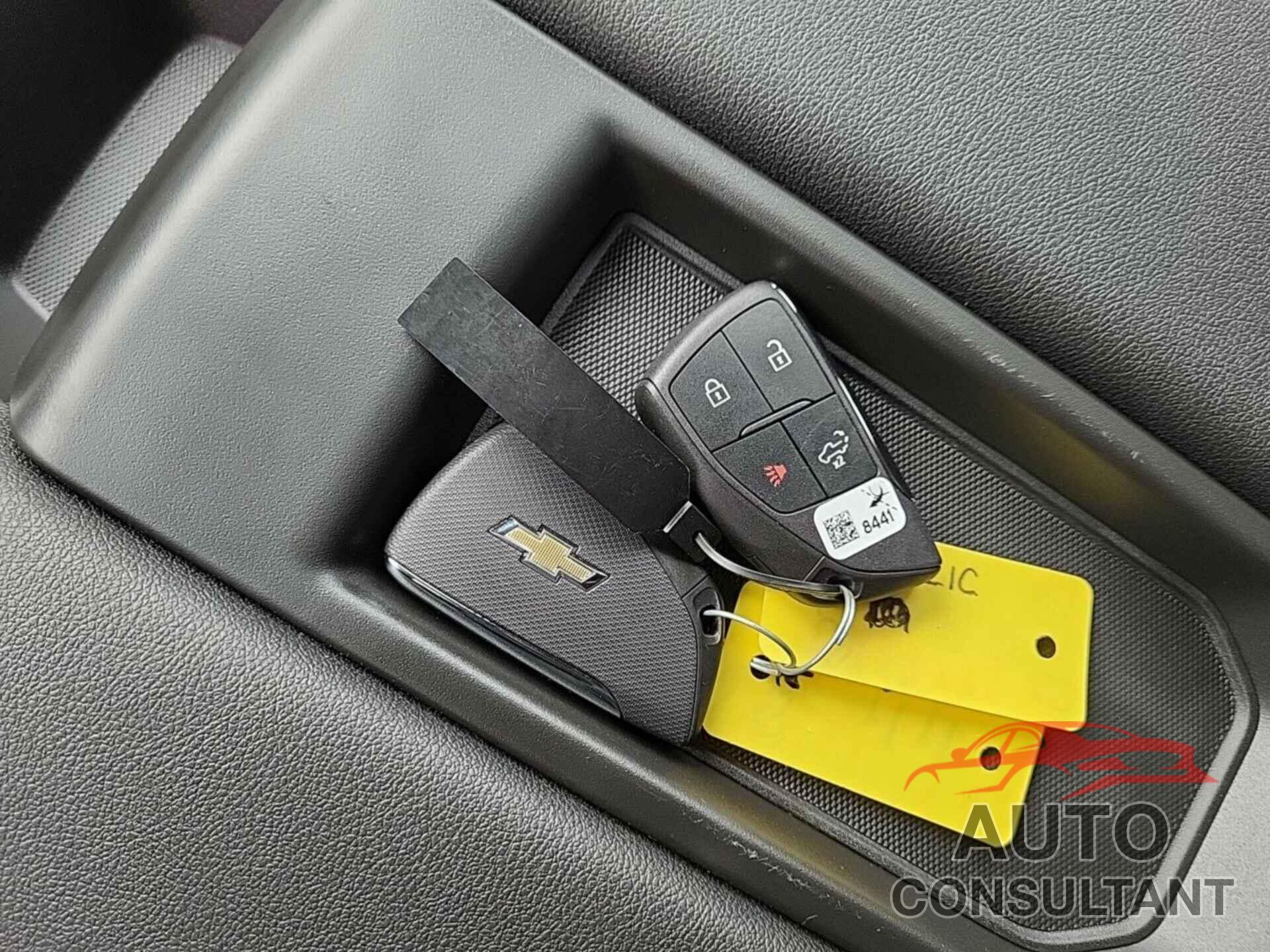 CHEVROLET SILVERADO 2024 - 1GC4YSEY3RF192643