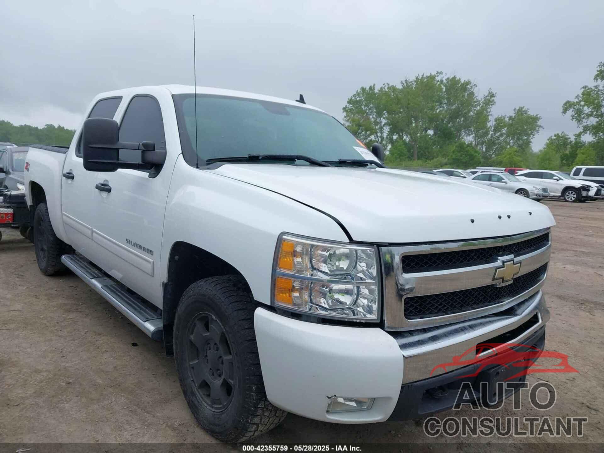 CHEVROLET SILVERADO 1500 2010 - 3GCRKSE39AG241701