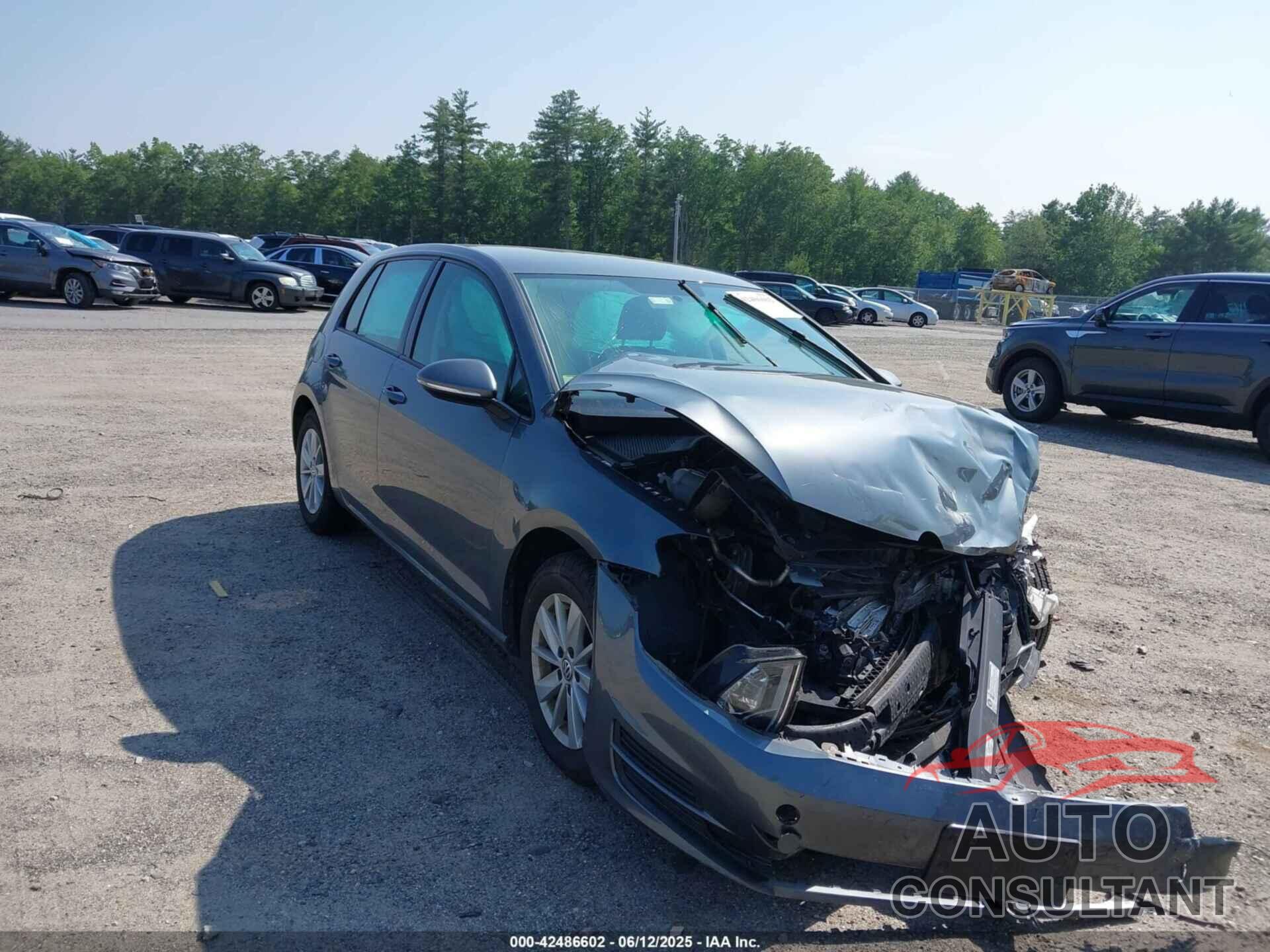 VOLKSWAGEN GOLF 2016 - 3VW217AU3GM043784