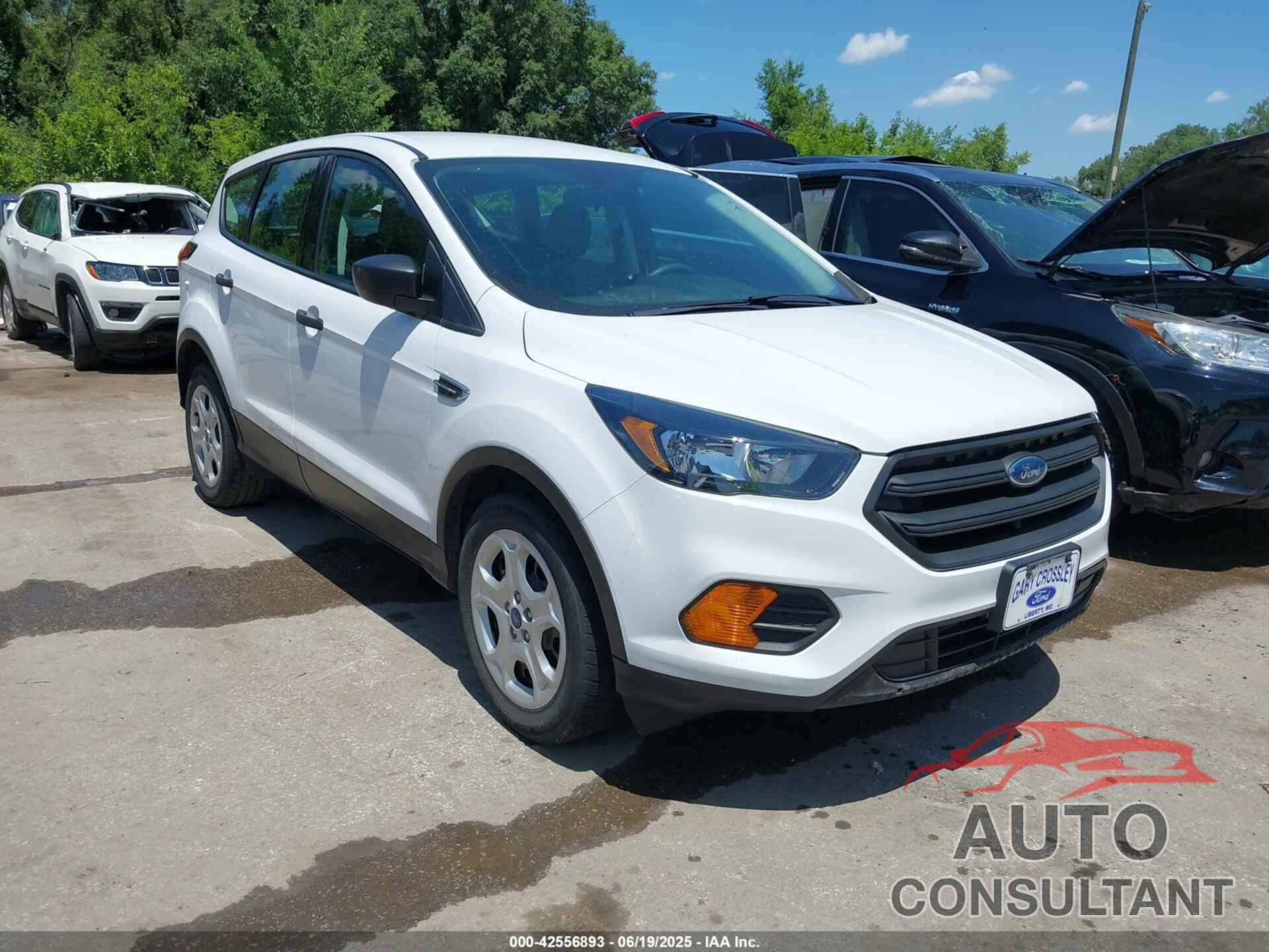 FORD ESCAPE 2019 - 1FMCU0F74KUB85988