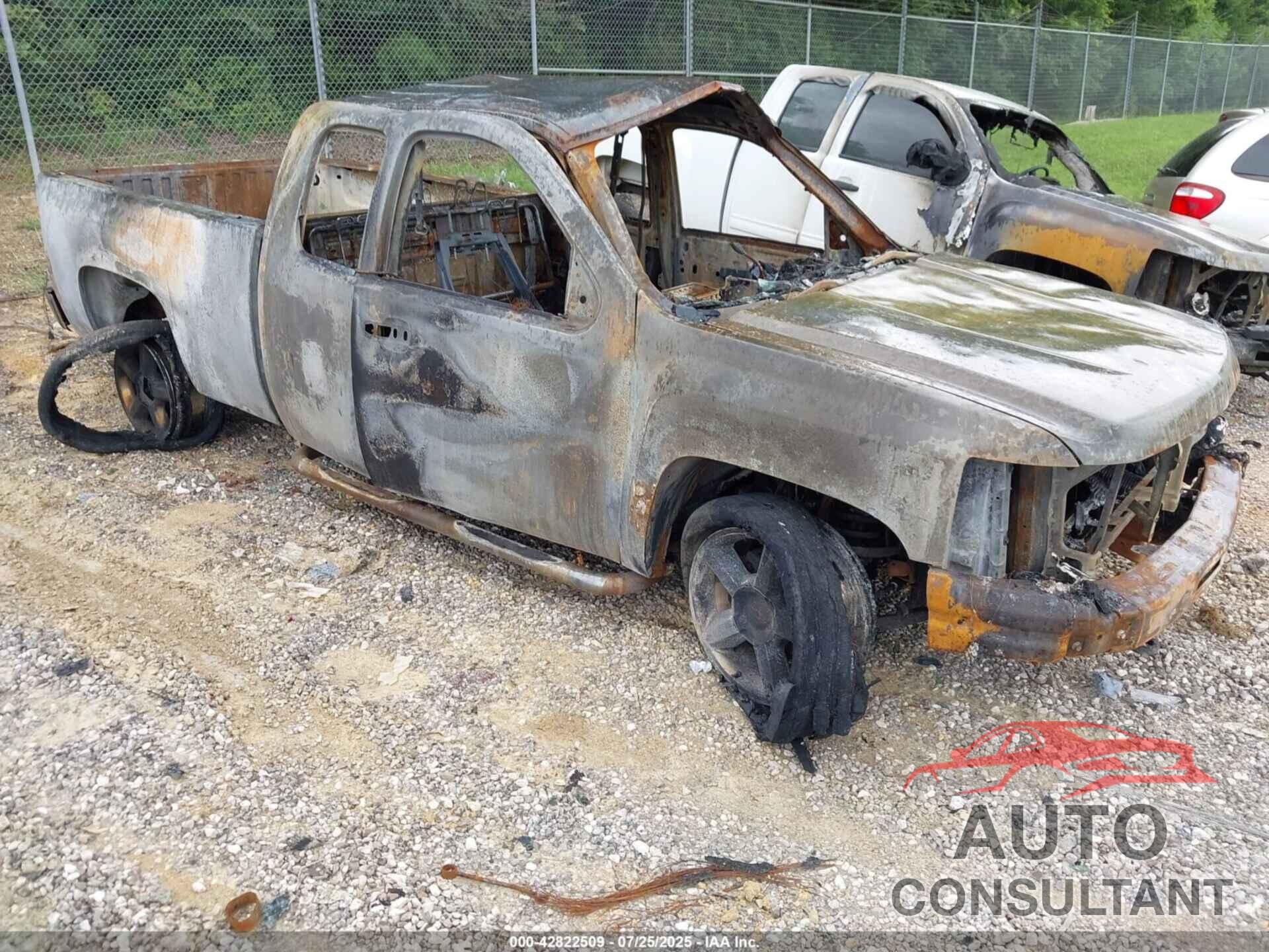 CHEVROLET SILVERADO 1500 2009 - 1GCEK19C29Z156410