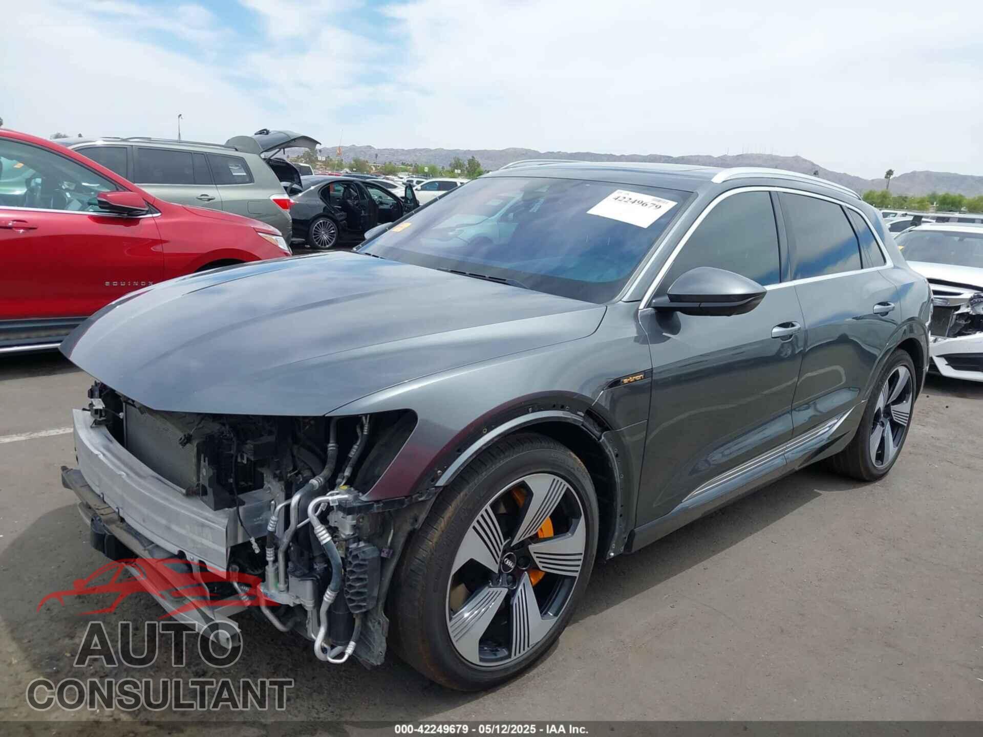 AUDI E-TRON 2019 - WA1VAAGE2KB008399