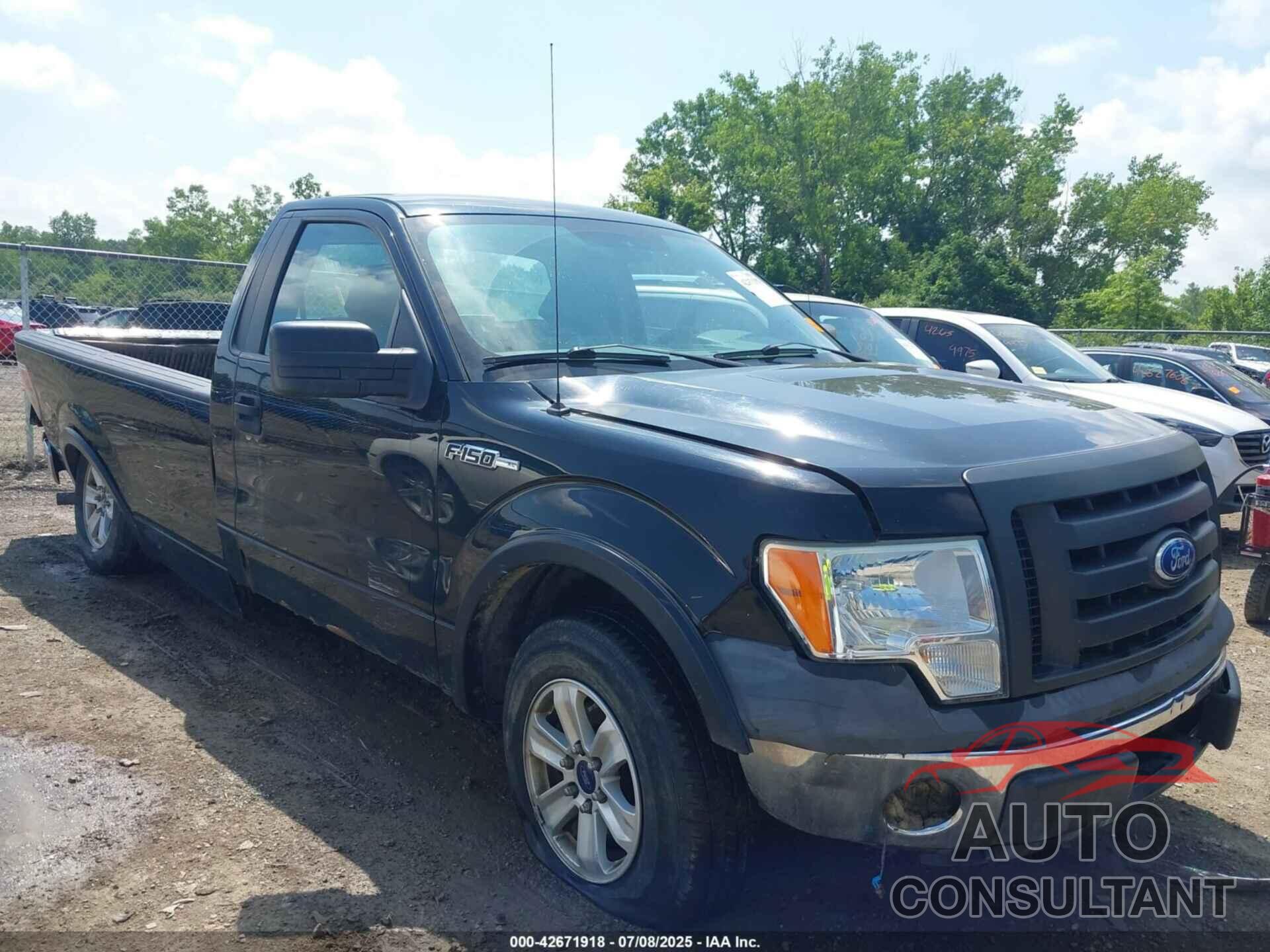 FORD F-150 2009 - 1FTRF12W69KB58387