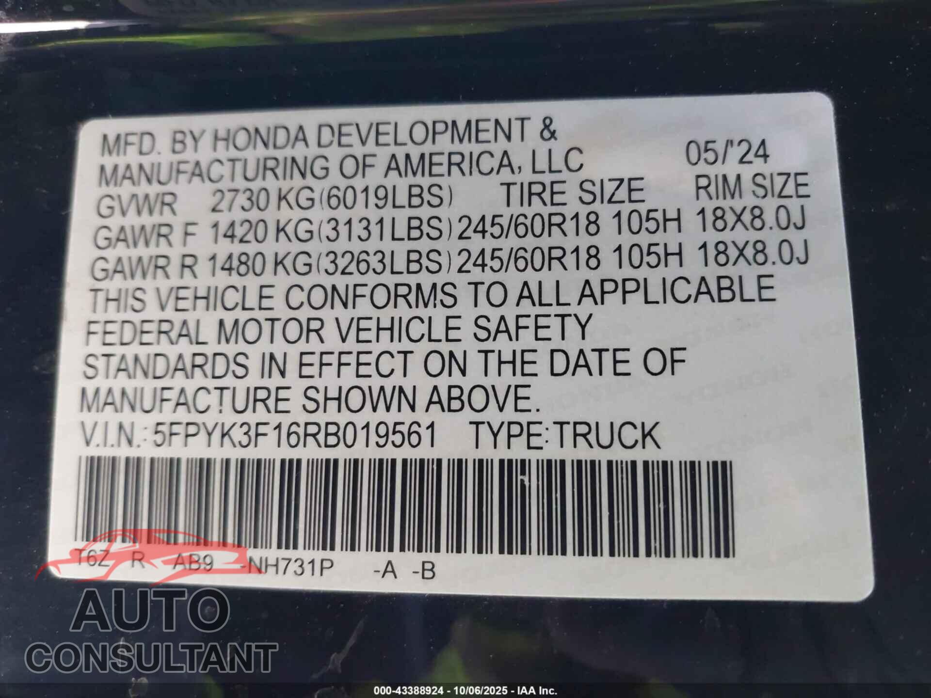 HONDA RIDGELINE 2024 - 5FPYK3F16RB019561