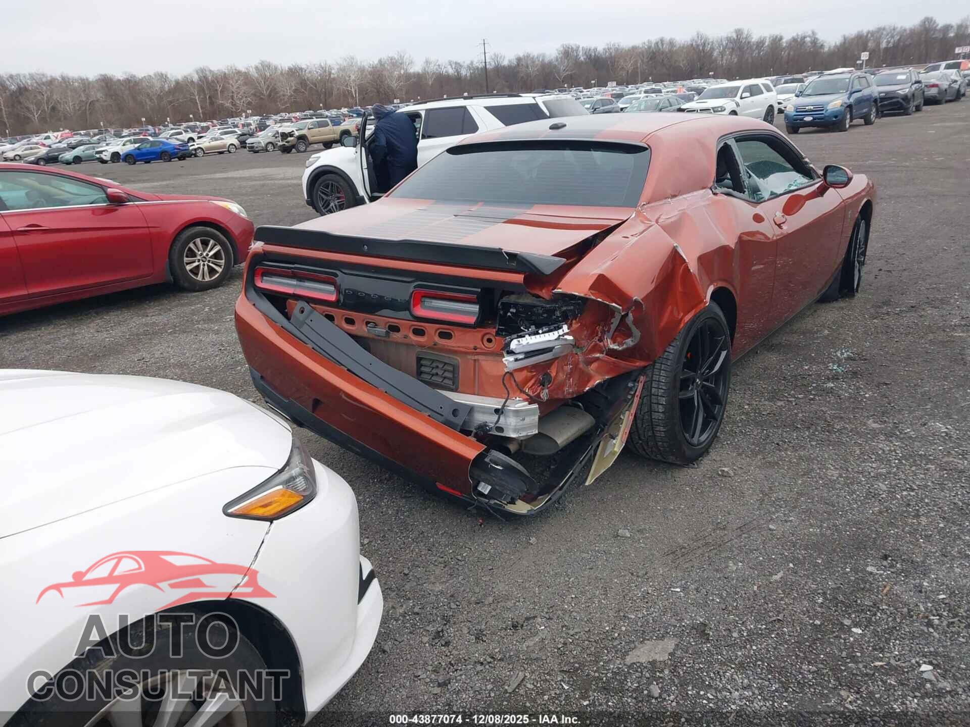 DODGE CHALLENGER 2020 - 2C3CDZAG4LH213586