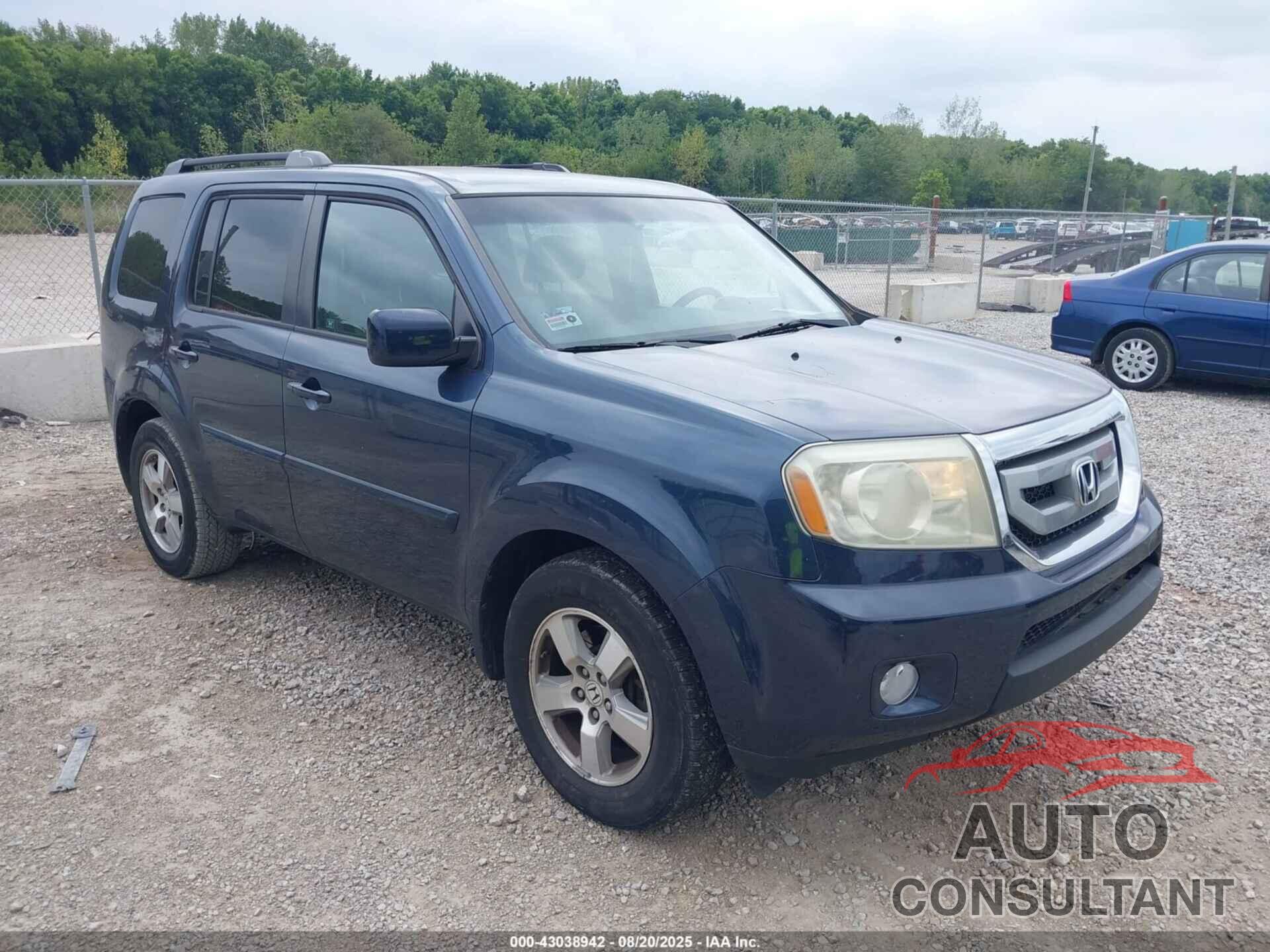 HONDA PILOT 2010 - 5FNYF4H41AB021877