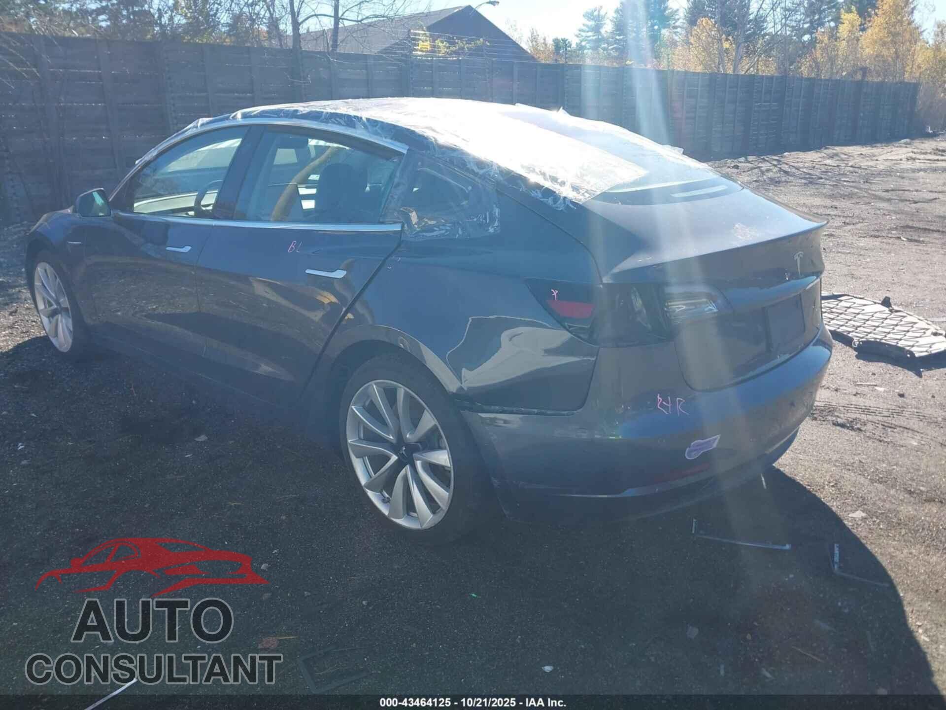 TESLA MODEL 3 2019 - 5YJ3E1EA3KF300884