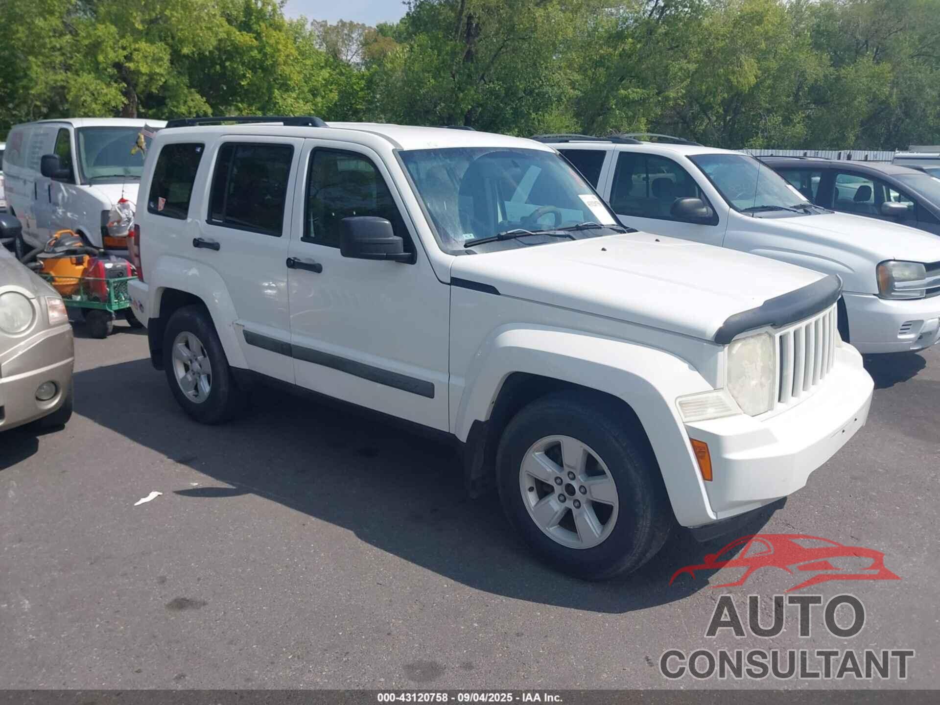 JEEP LIBERTY 2010 - 1J4PN2GK1AW182660