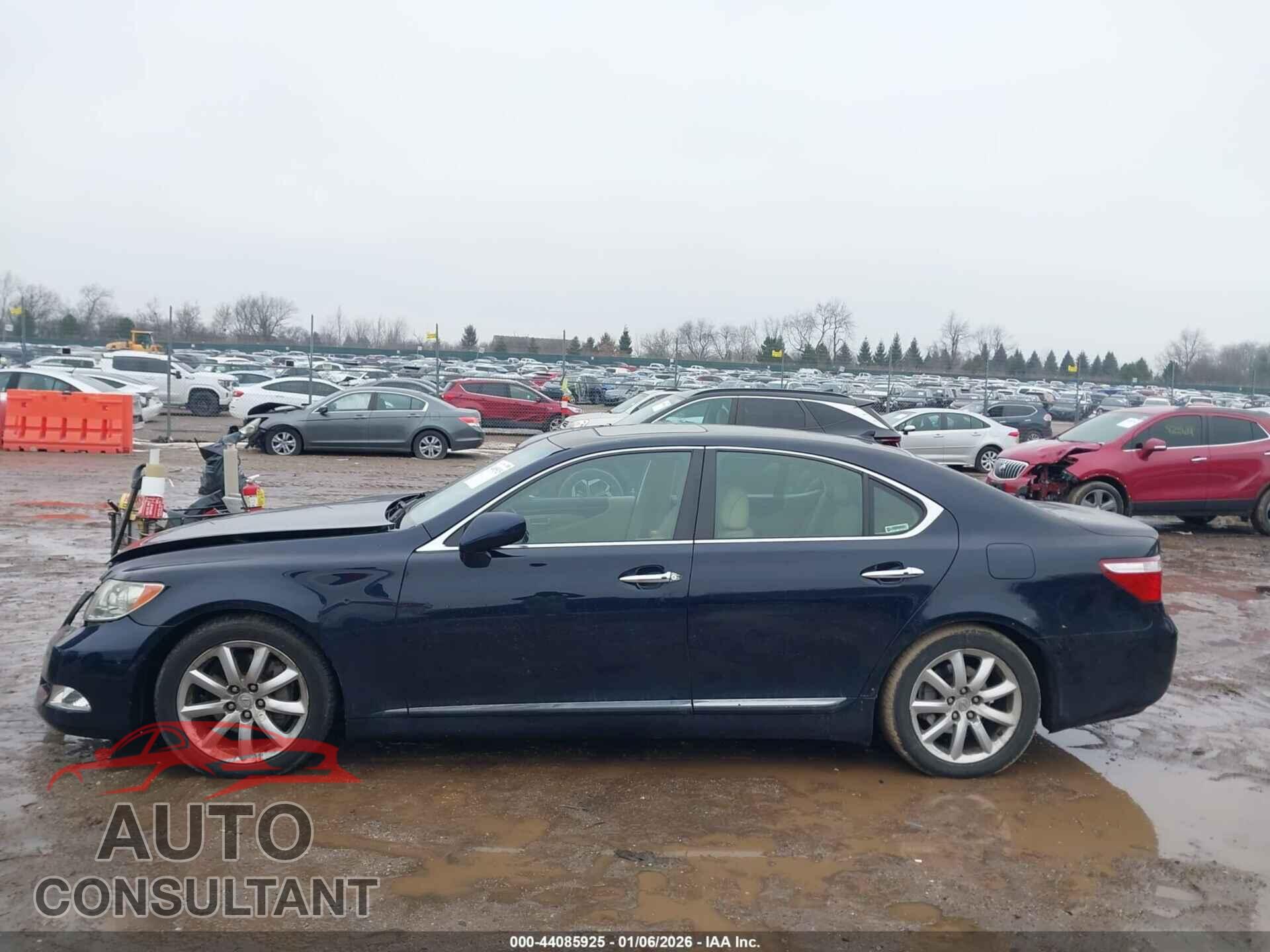 LEXUS LS 460 2009 - JTHBL46F395086342