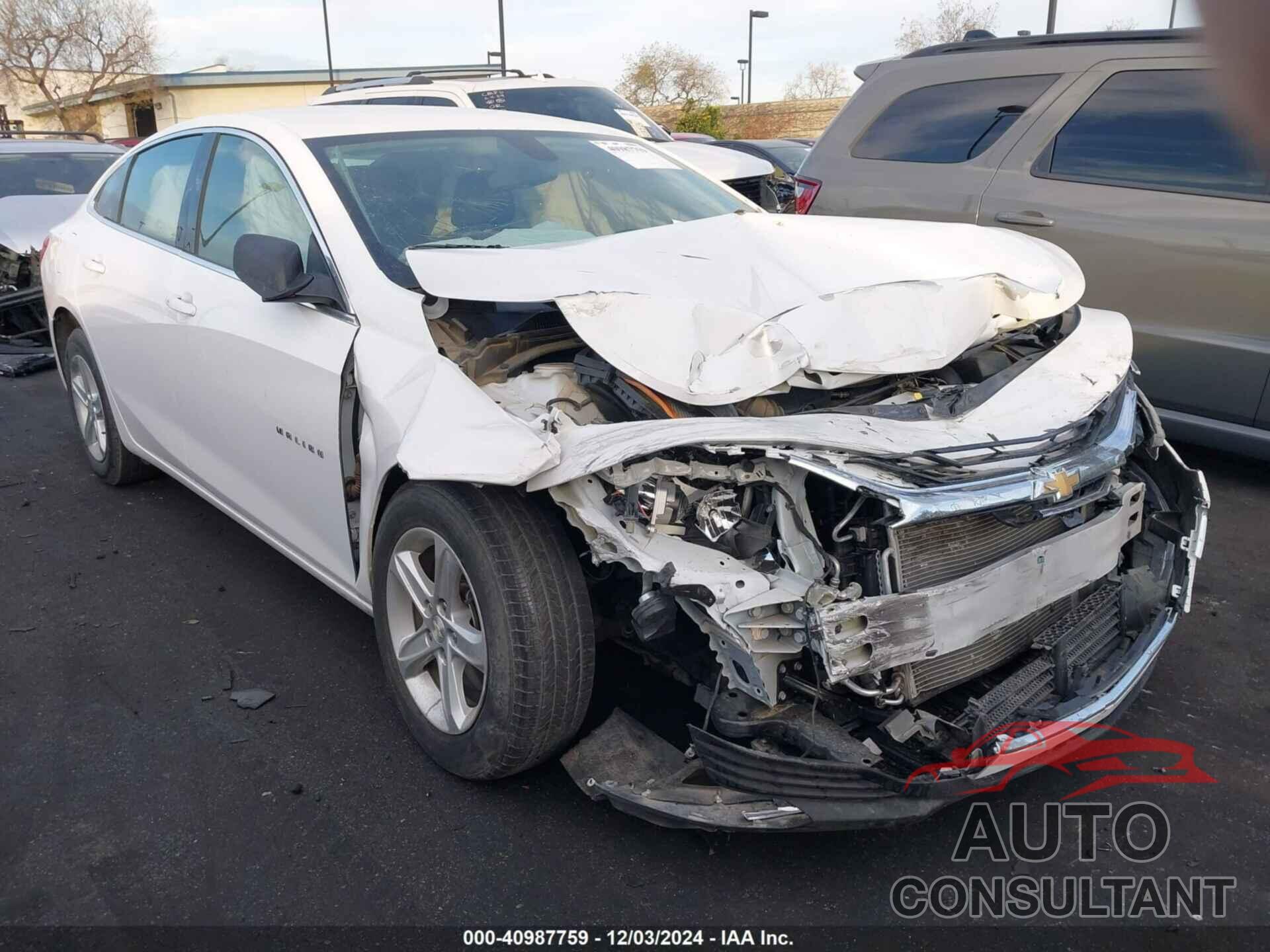 CHEVROLET MALIBU 2019 - 1G1ZB5ST0KF219247