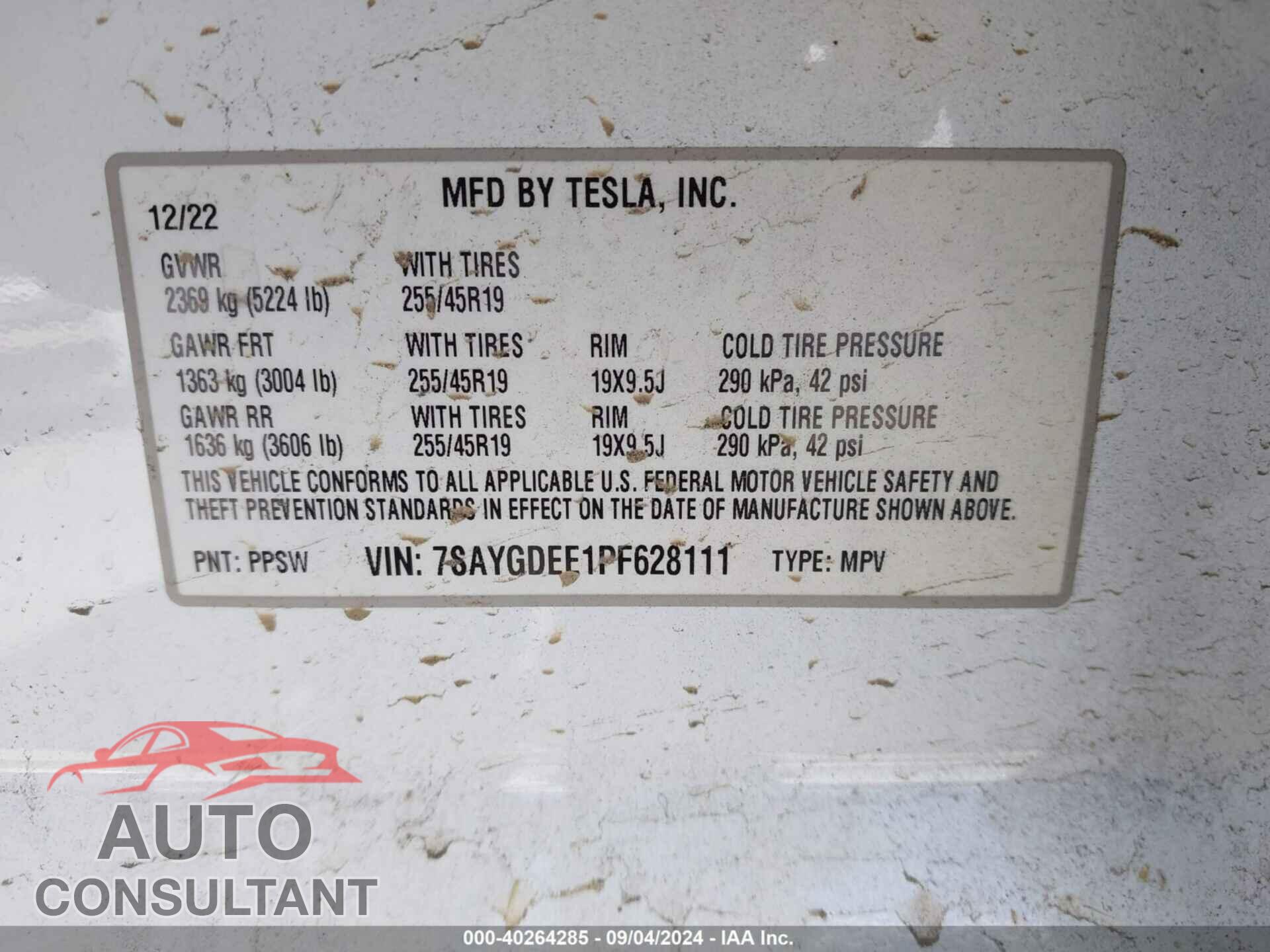 TESLA MODEL Y 2023 - 7SAYGDEE1PF628111