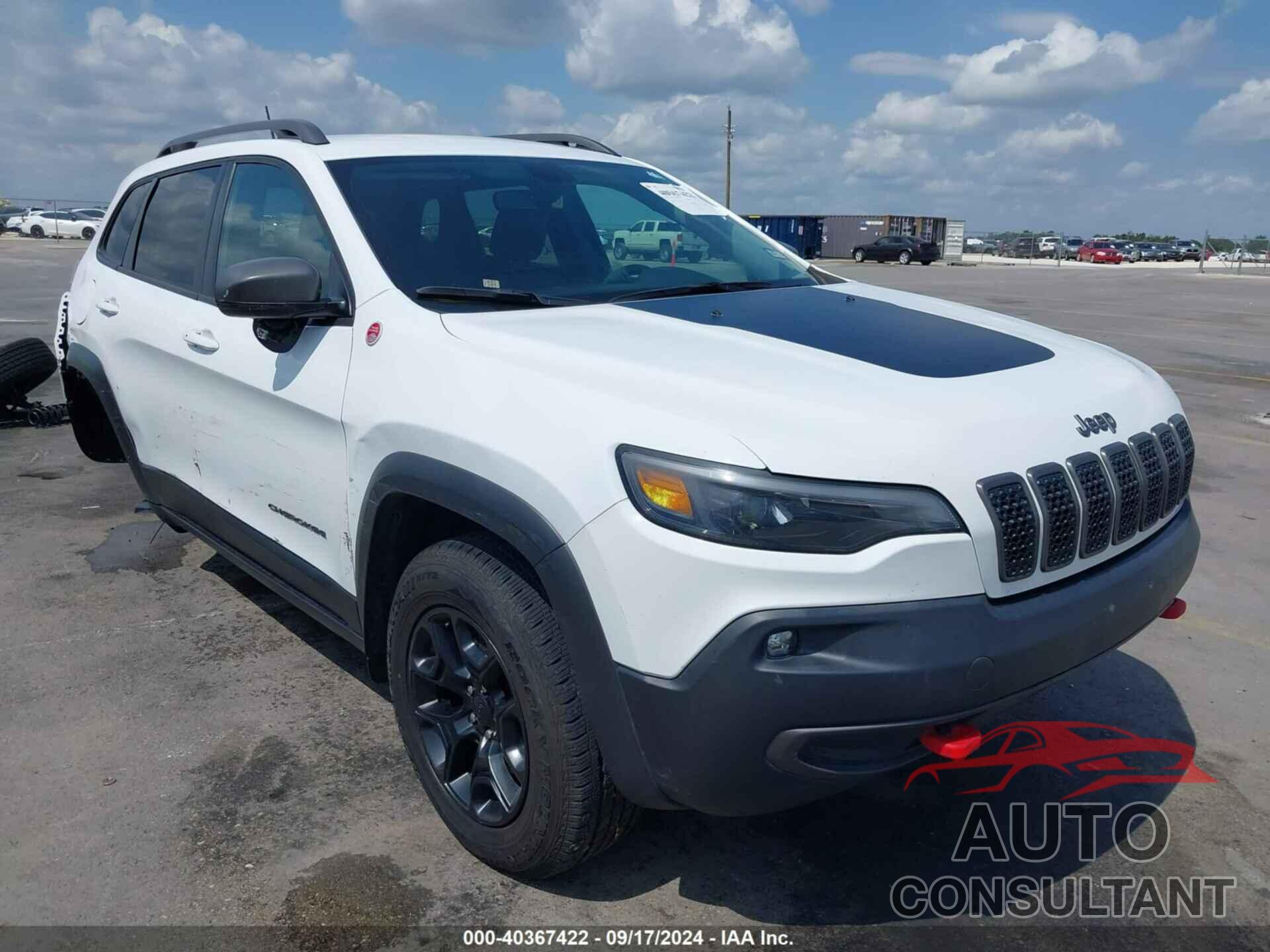 JEEP CHEROKEE 2019 - 1C4PJMBX0KD422116