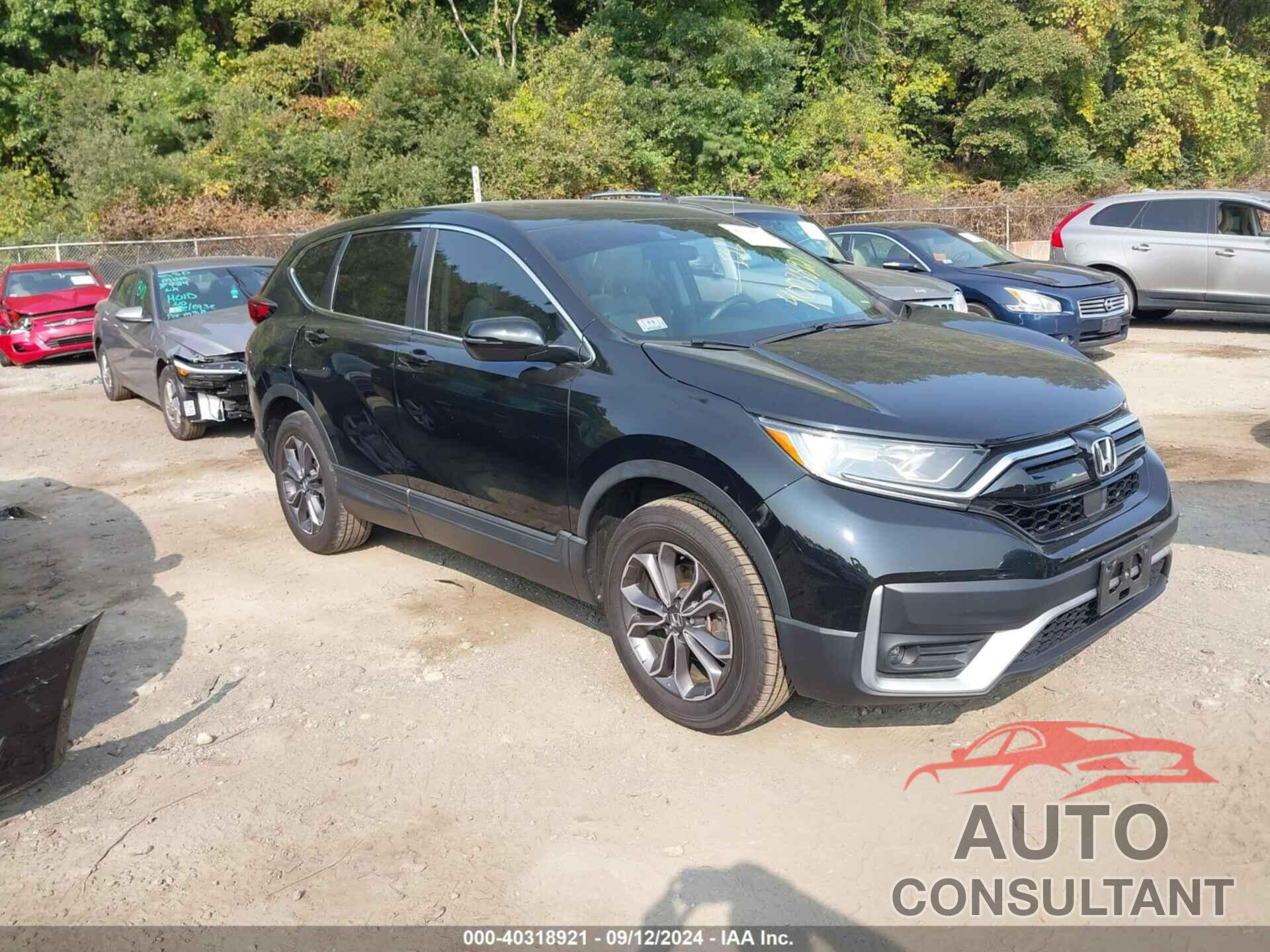 HONDA CR-V 2020 - 2HKRW2H51LH655681