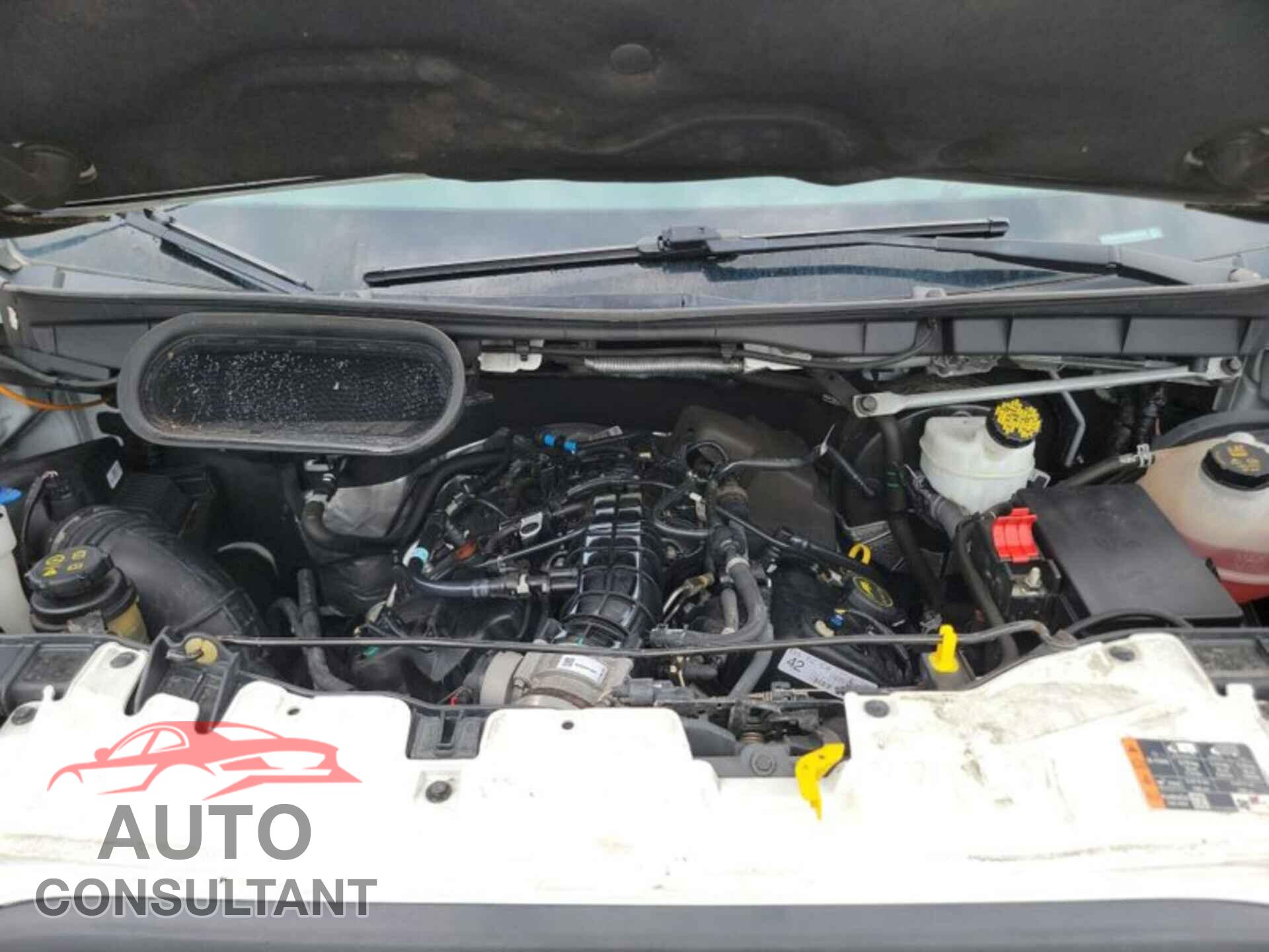FORD TRANSIT 2018 - 1FTBW3UG4JKB05551
