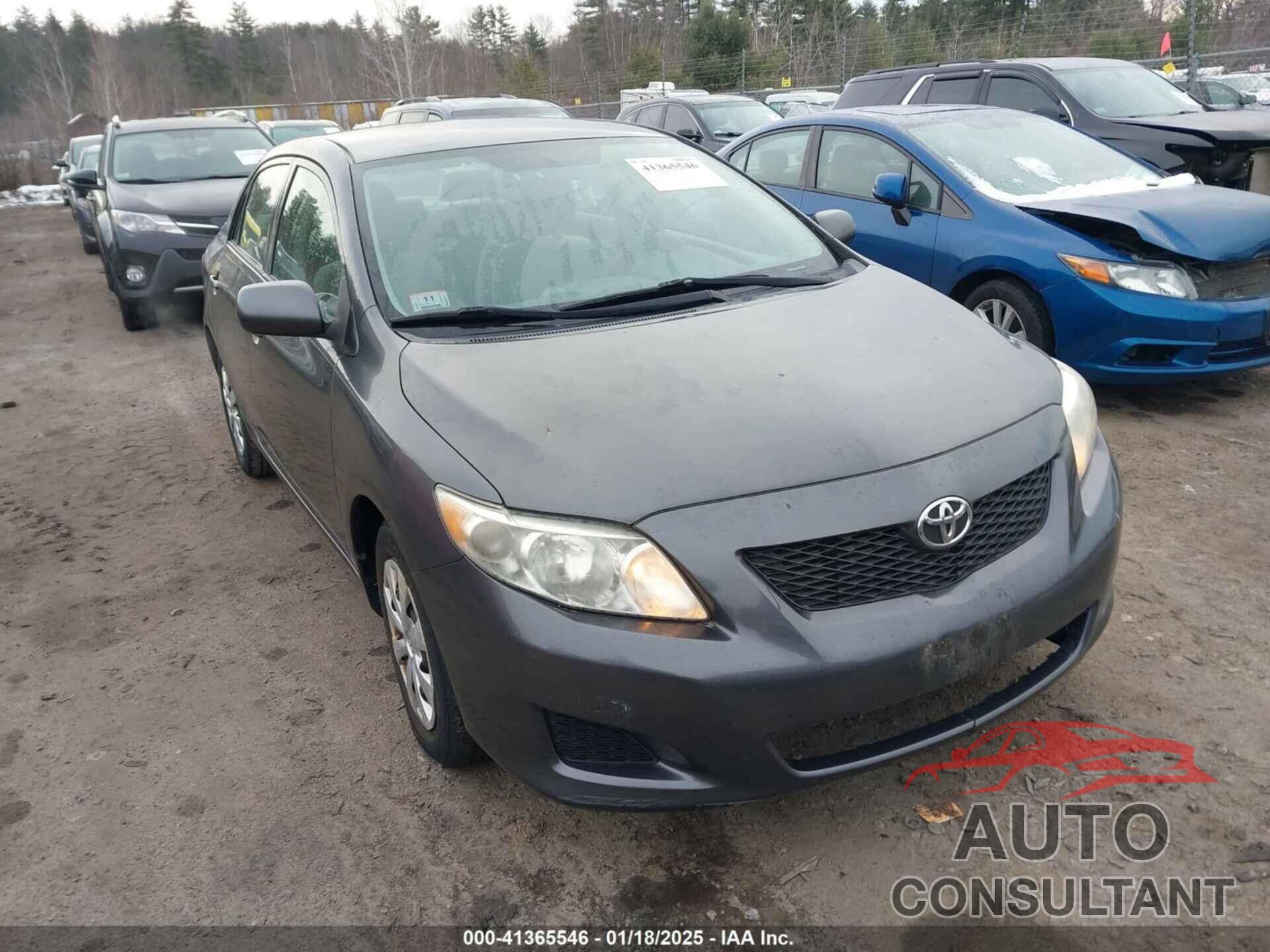 TOYOTA COROLLA 2010 - 2T1BU4EE1AC279202