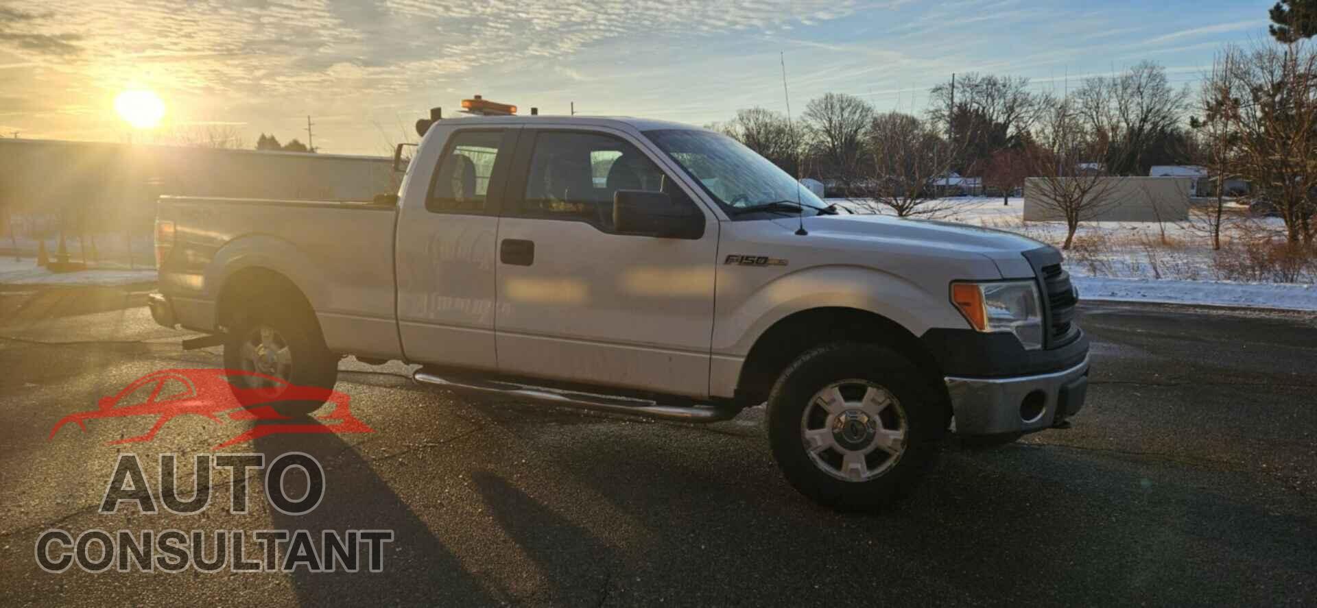 FORD F150 2014 - 1FTFX1EF2EFA11028