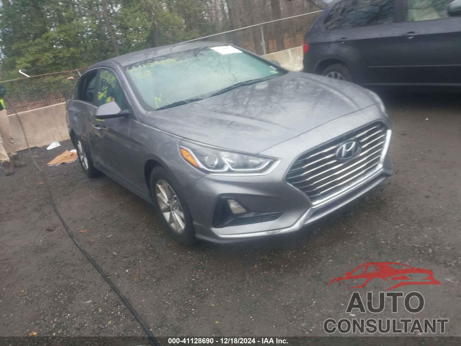 HYUNDAI SONATA 2019 - 5NPE24AF7KH775203
