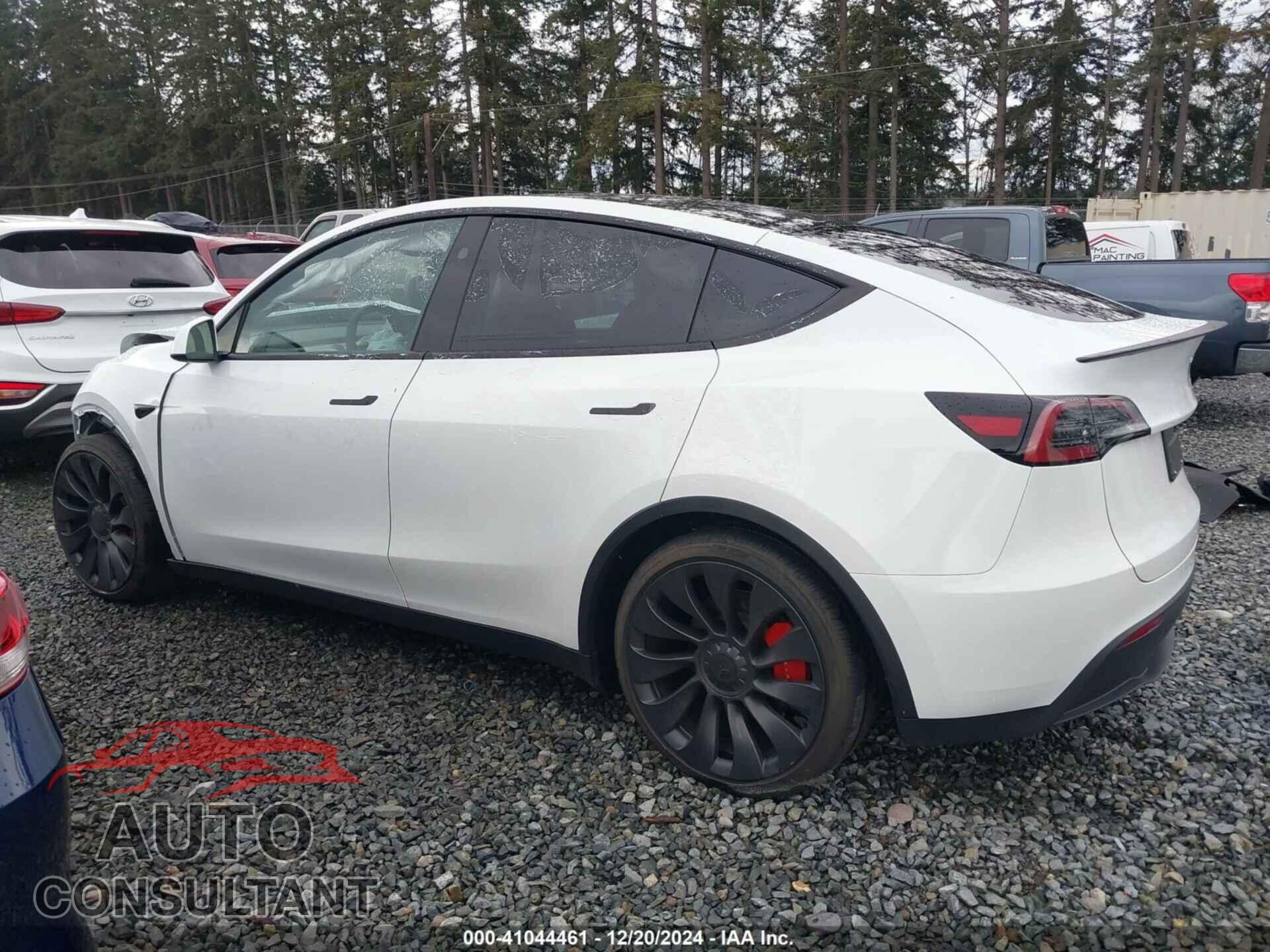 TESLA MODEL Y 2024 - 7SAYGDEF3RF195077