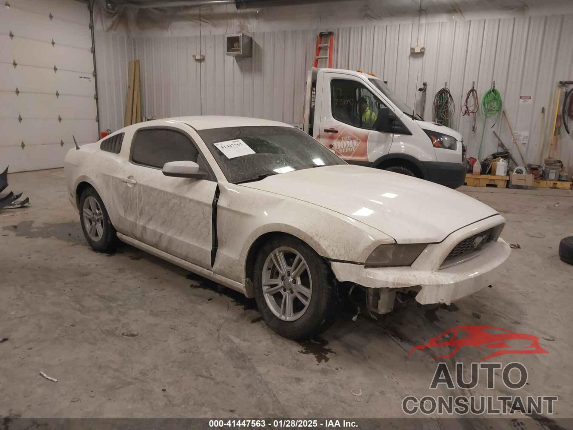 FORD MUSTANG 2013 - 1ZVBP8AM0D5281131