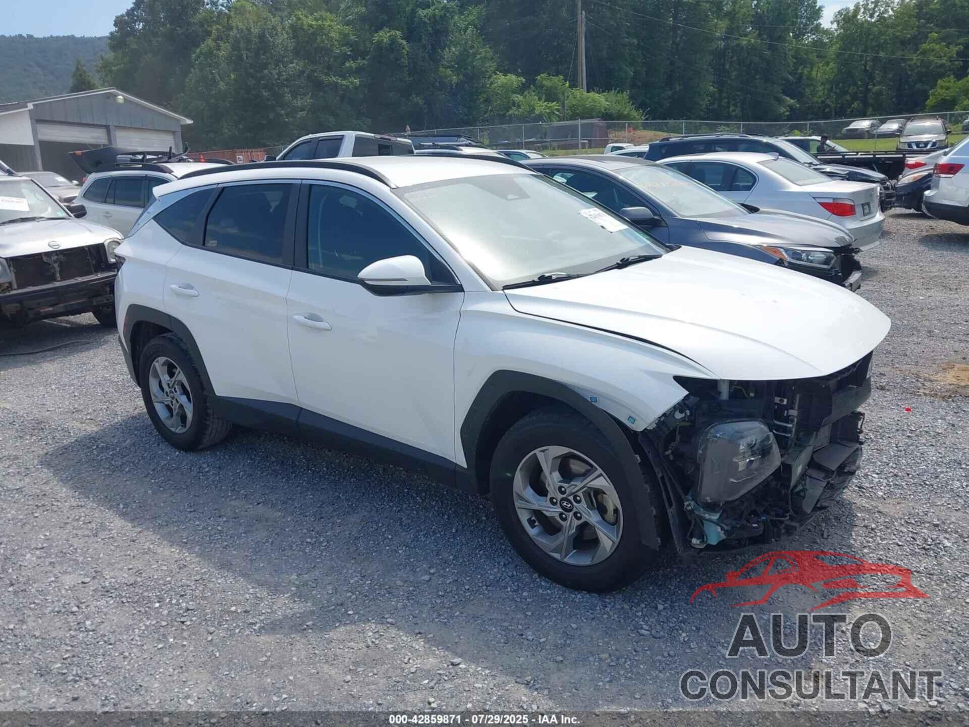 HYUNDAI TUCSON 2023 - 5NMJB3AE9PH202369