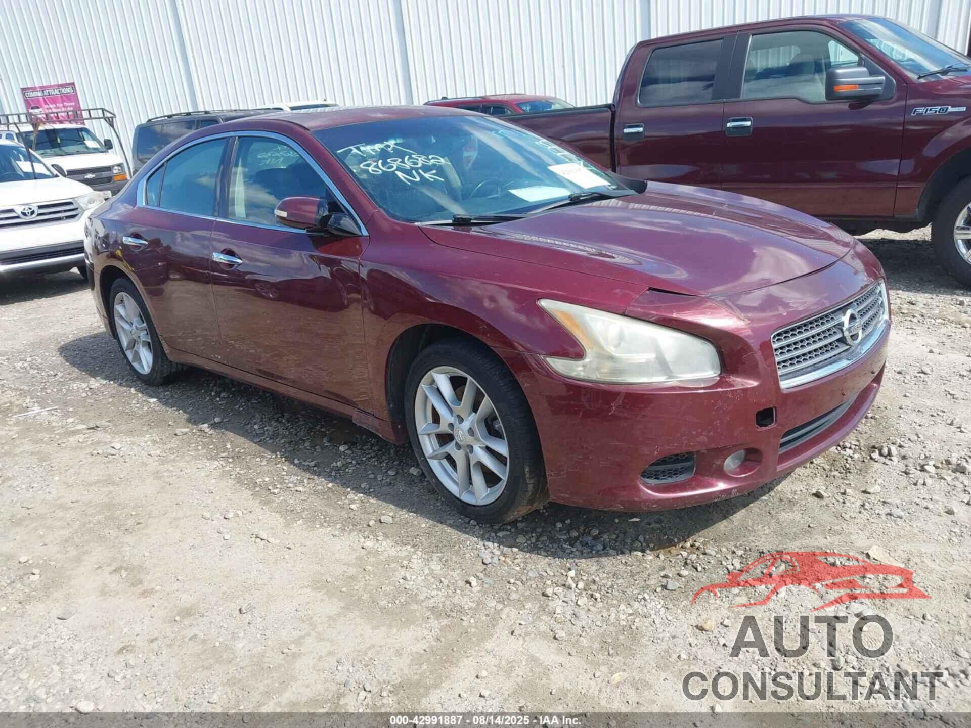 NISSAN MAXIMA 2010 - 1N4AA5AP6AC868682