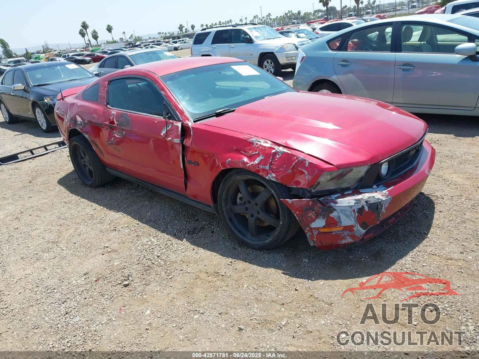 FORD MUSTANG 2011 - 1ZVBP8CF1B5138152