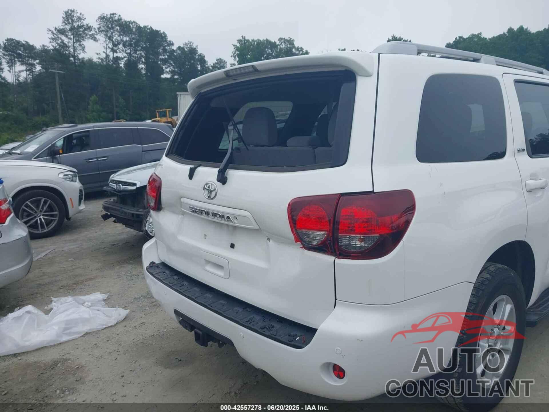 TOYOTA SEQUOIA 2019 - 5TDBY5G16KS170151