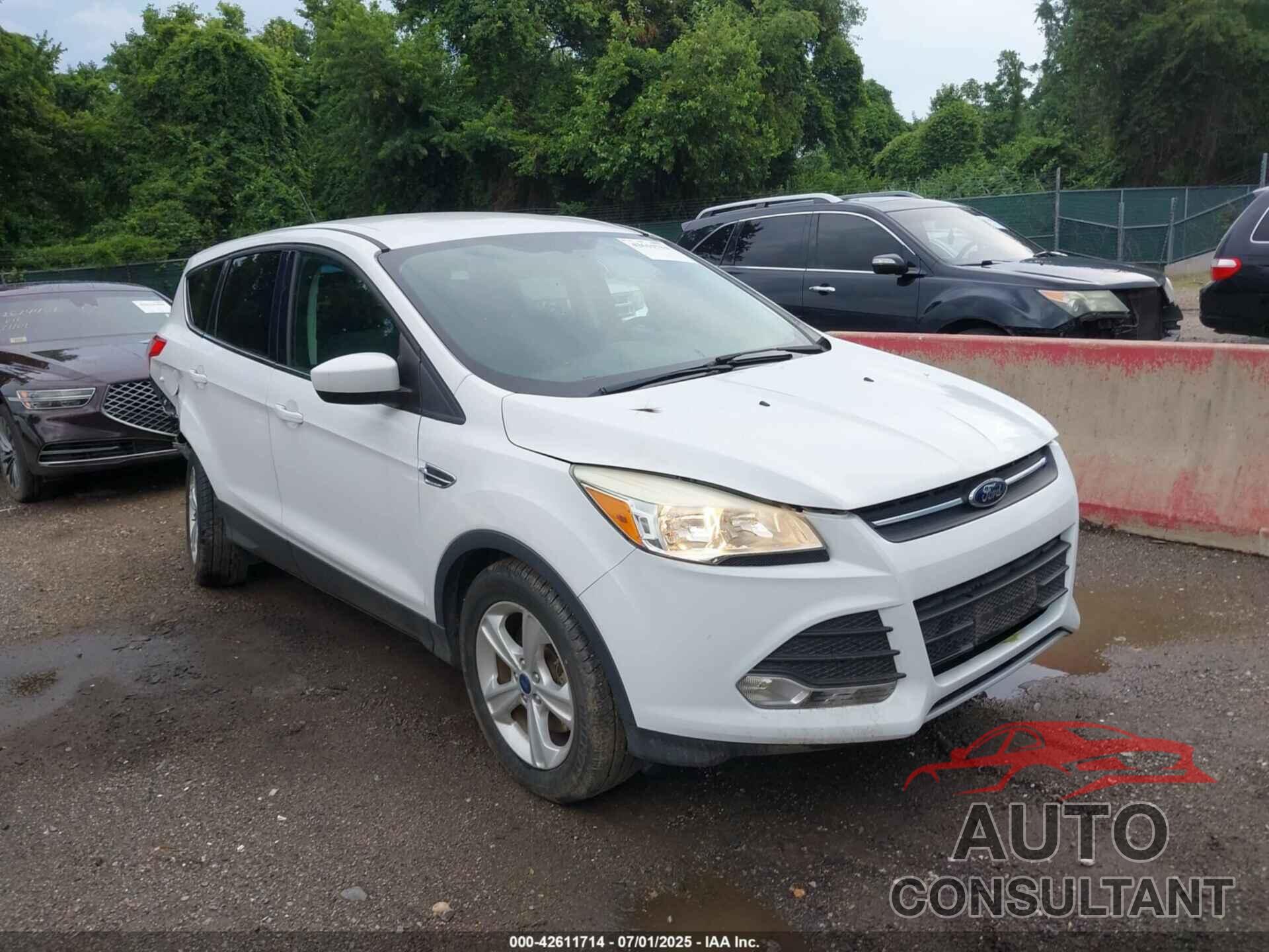 FORD ESCAPE 2014 - 1FMCU9GX4EUD88239