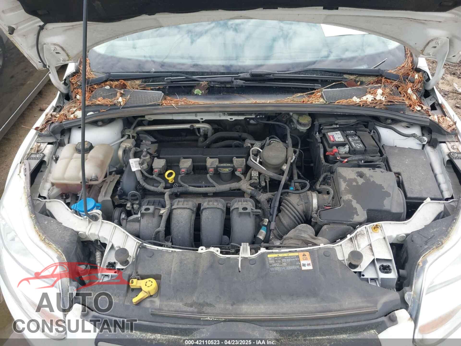 FORD FOCUS 2014 - 1FADP3F27EL215703