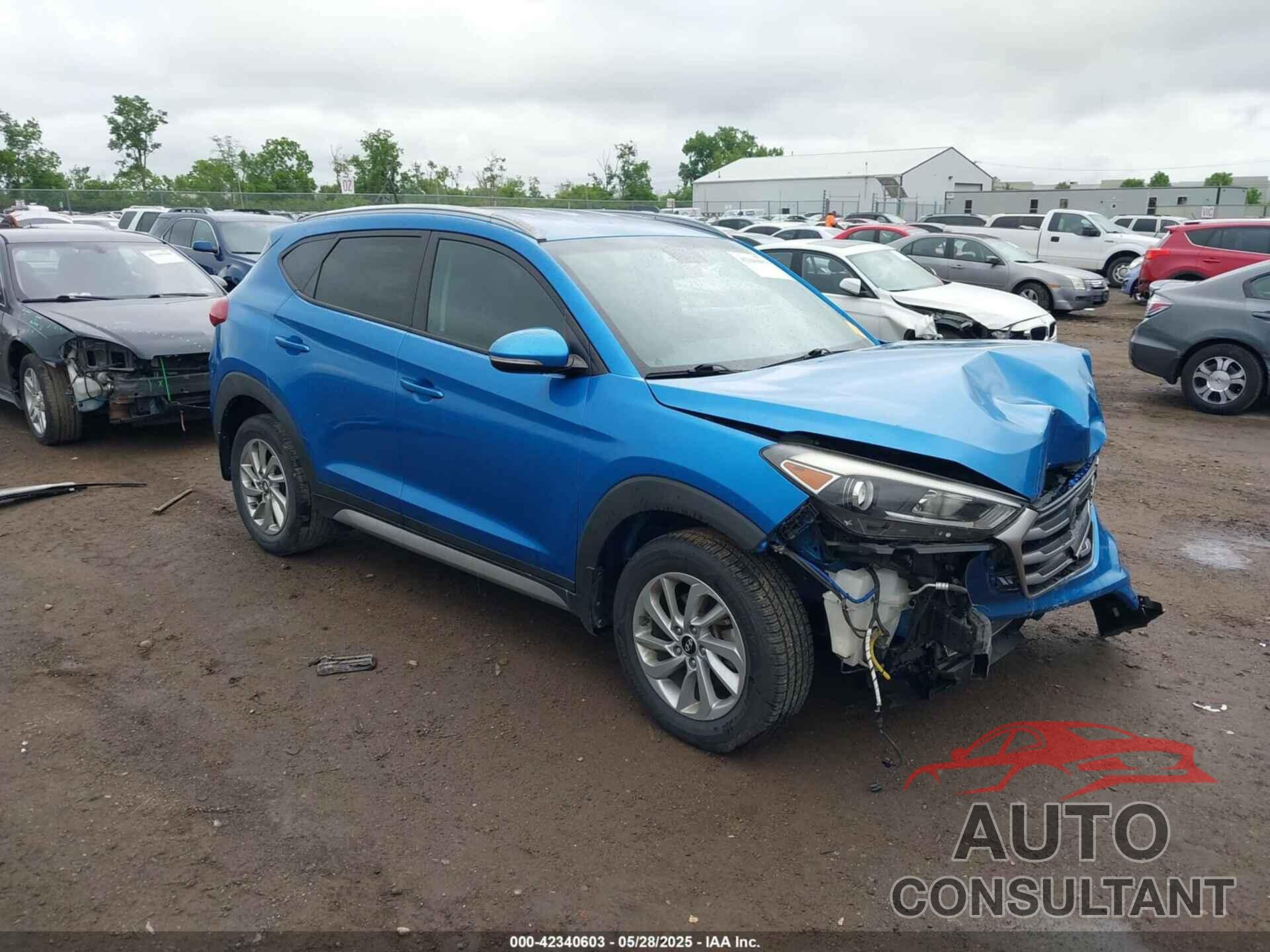 HYUNDAI TUCSON 2017 - KM8J33A23HU319048