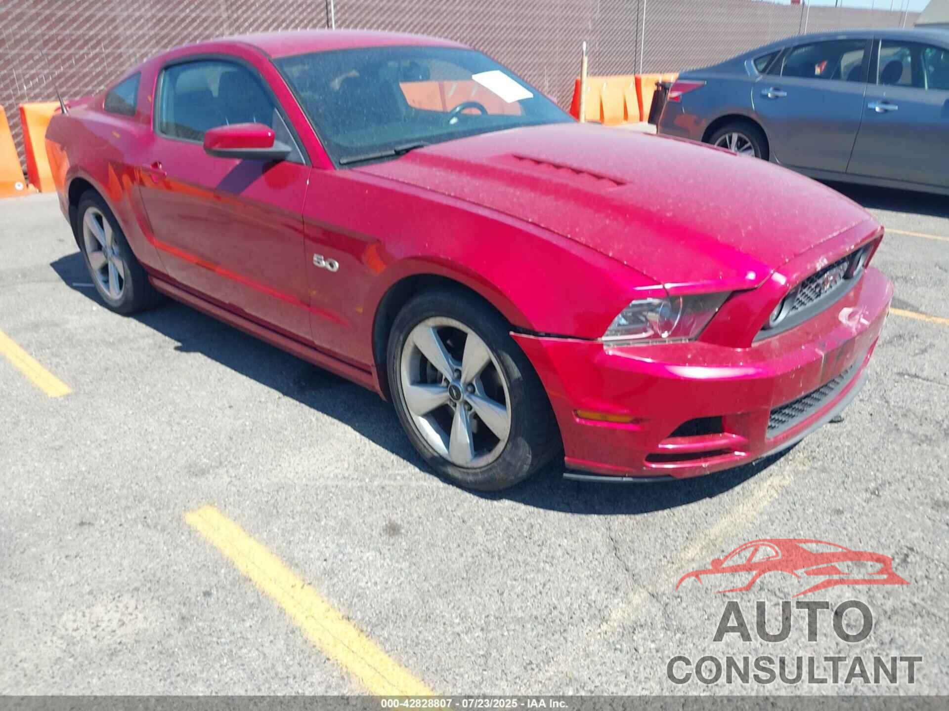 FORD MUSTANG 2013 - 1ZVBP8CF1D5262506