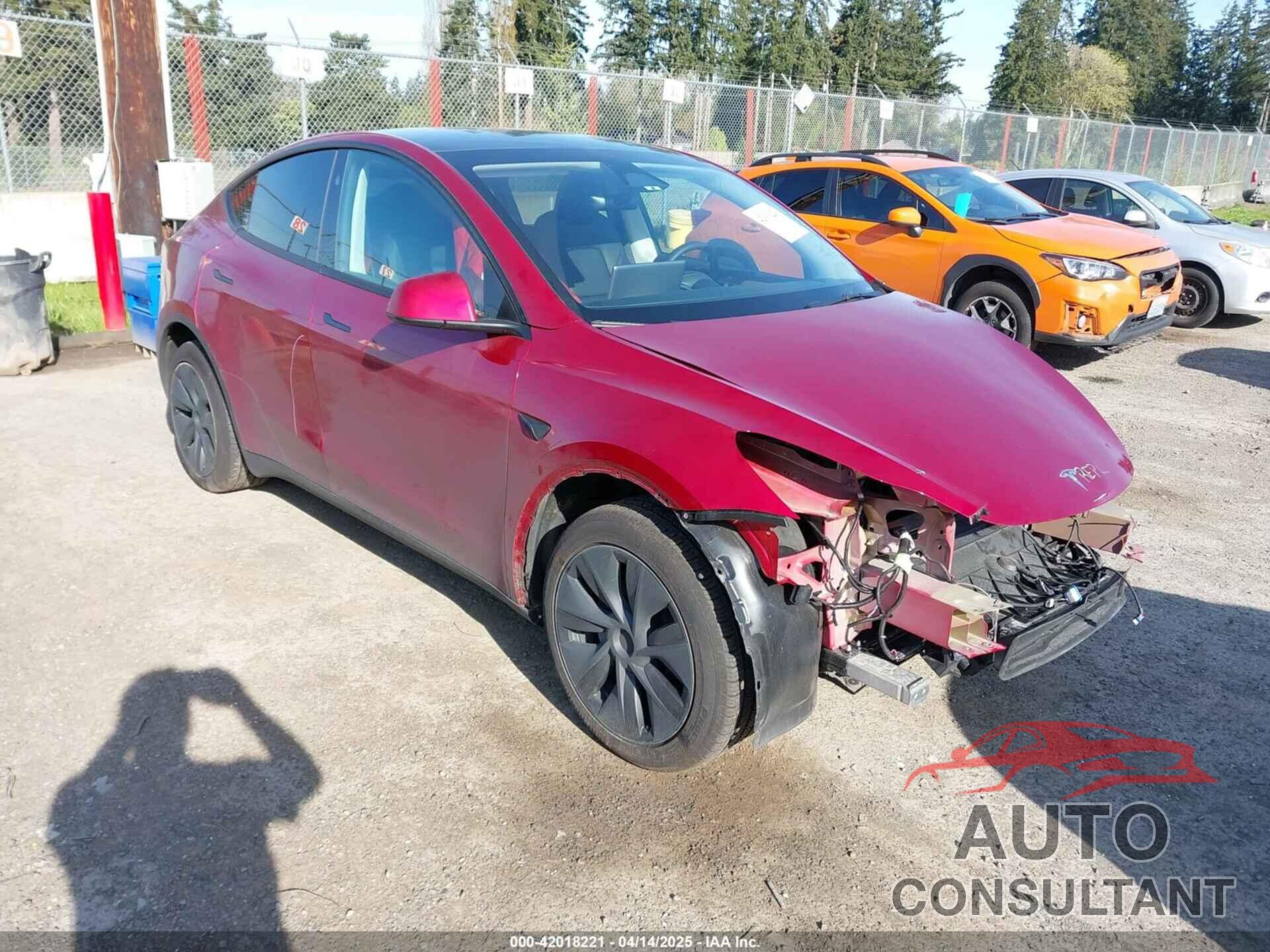 TESLA MODEL Y 2024 - 7SAYGDEE9RF199805