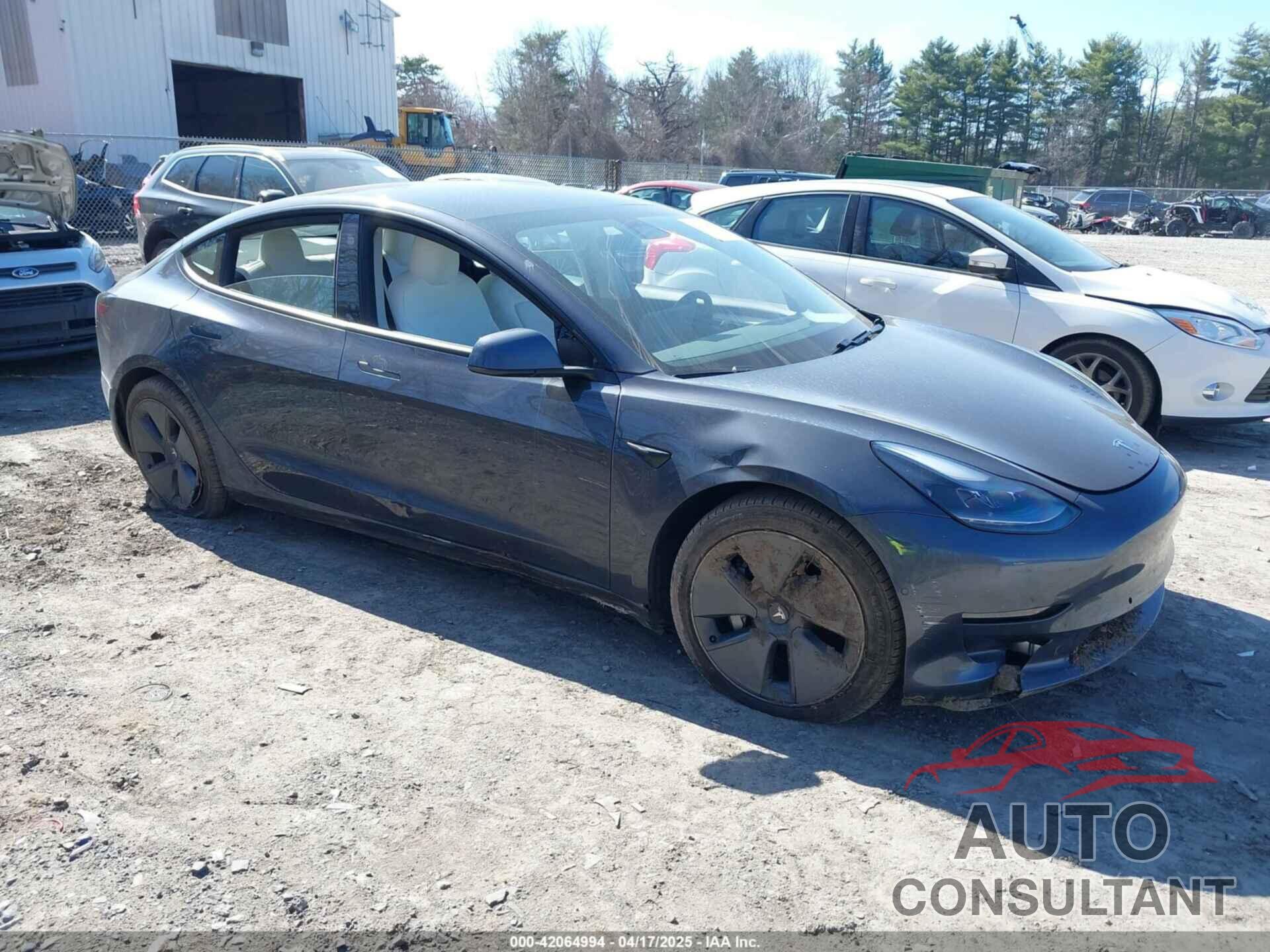 TESLA MODEL 3 2021 - 5YJ3E1EB7MF981272